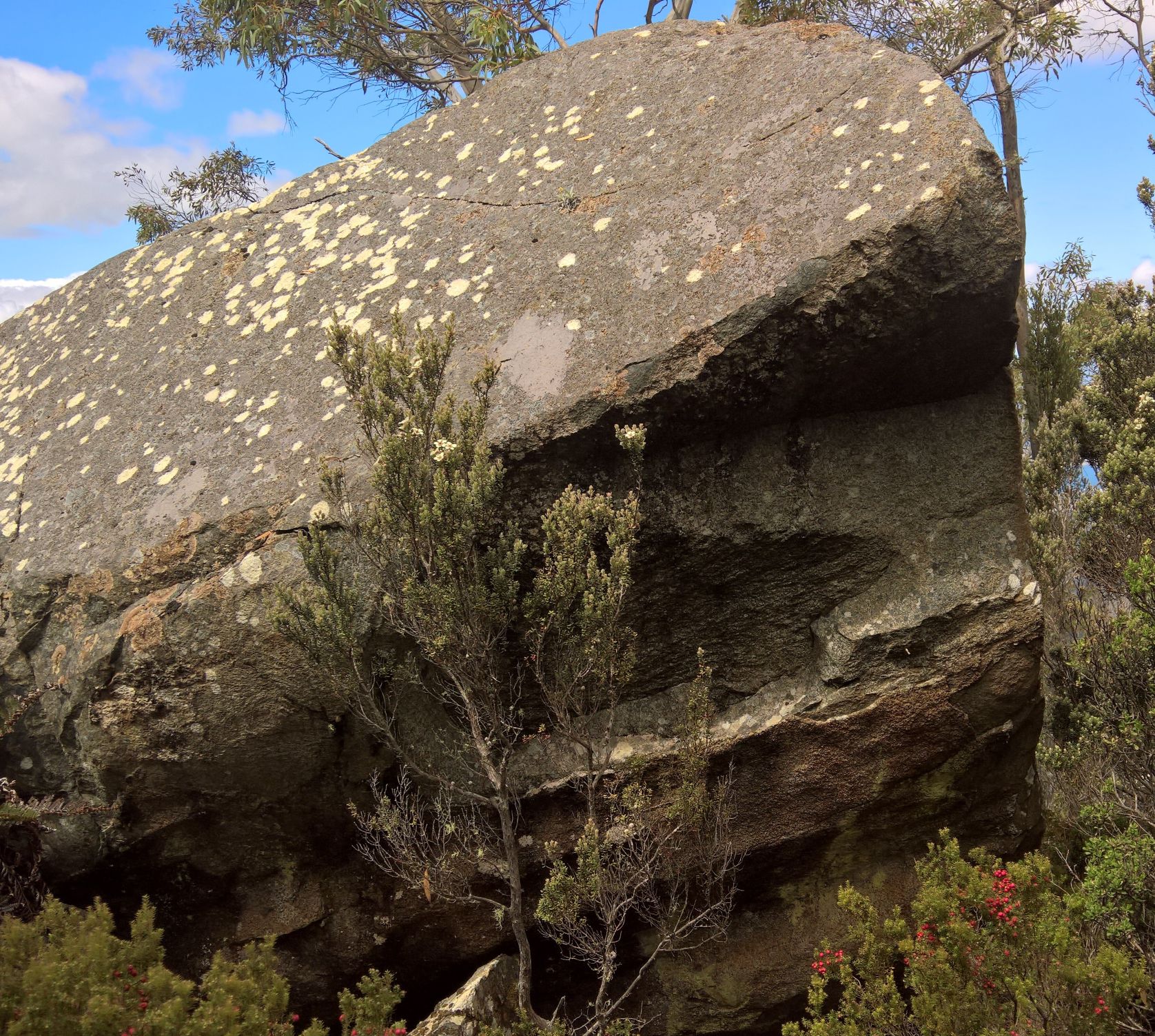 smalltime boulder.jpg
