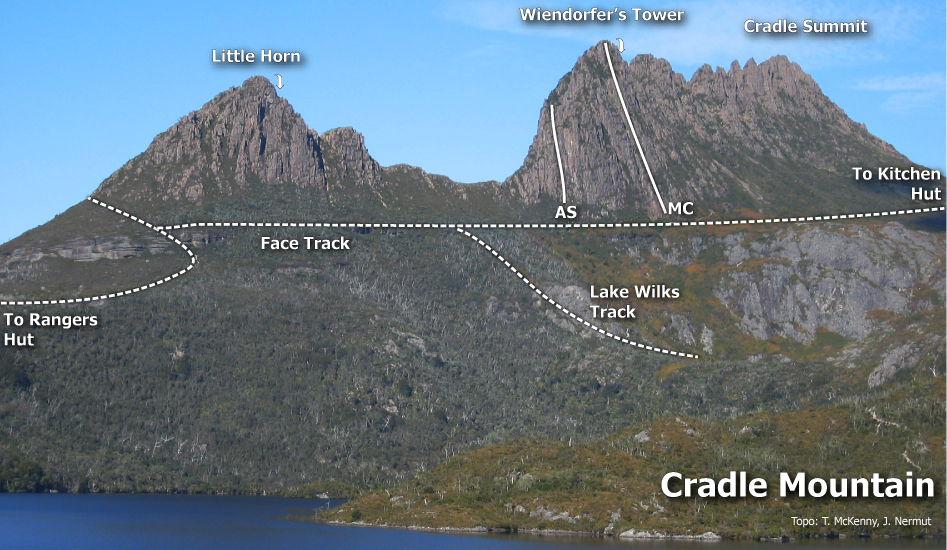 cradle.jpg