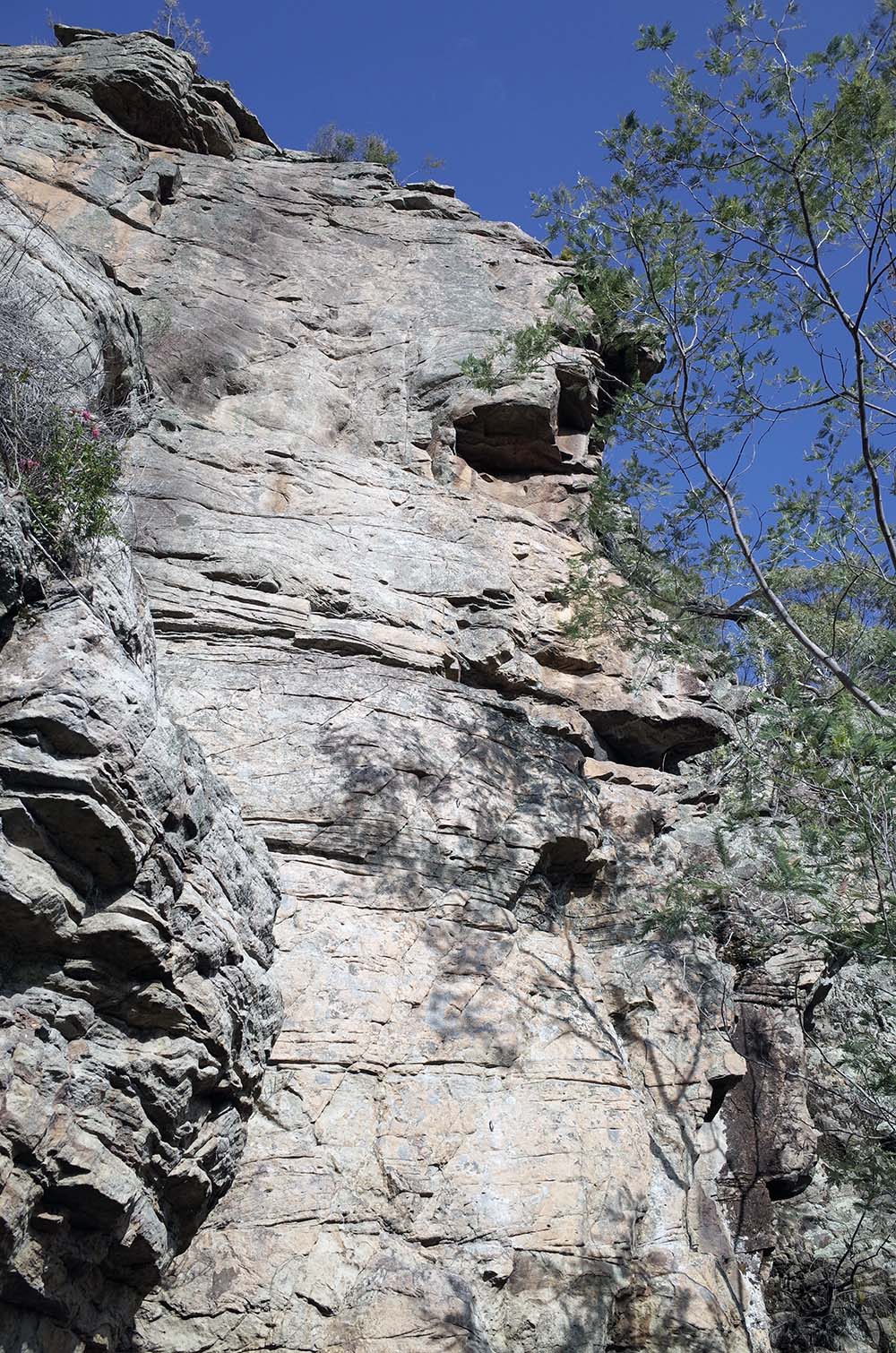 Circus Wall Upper Tier
