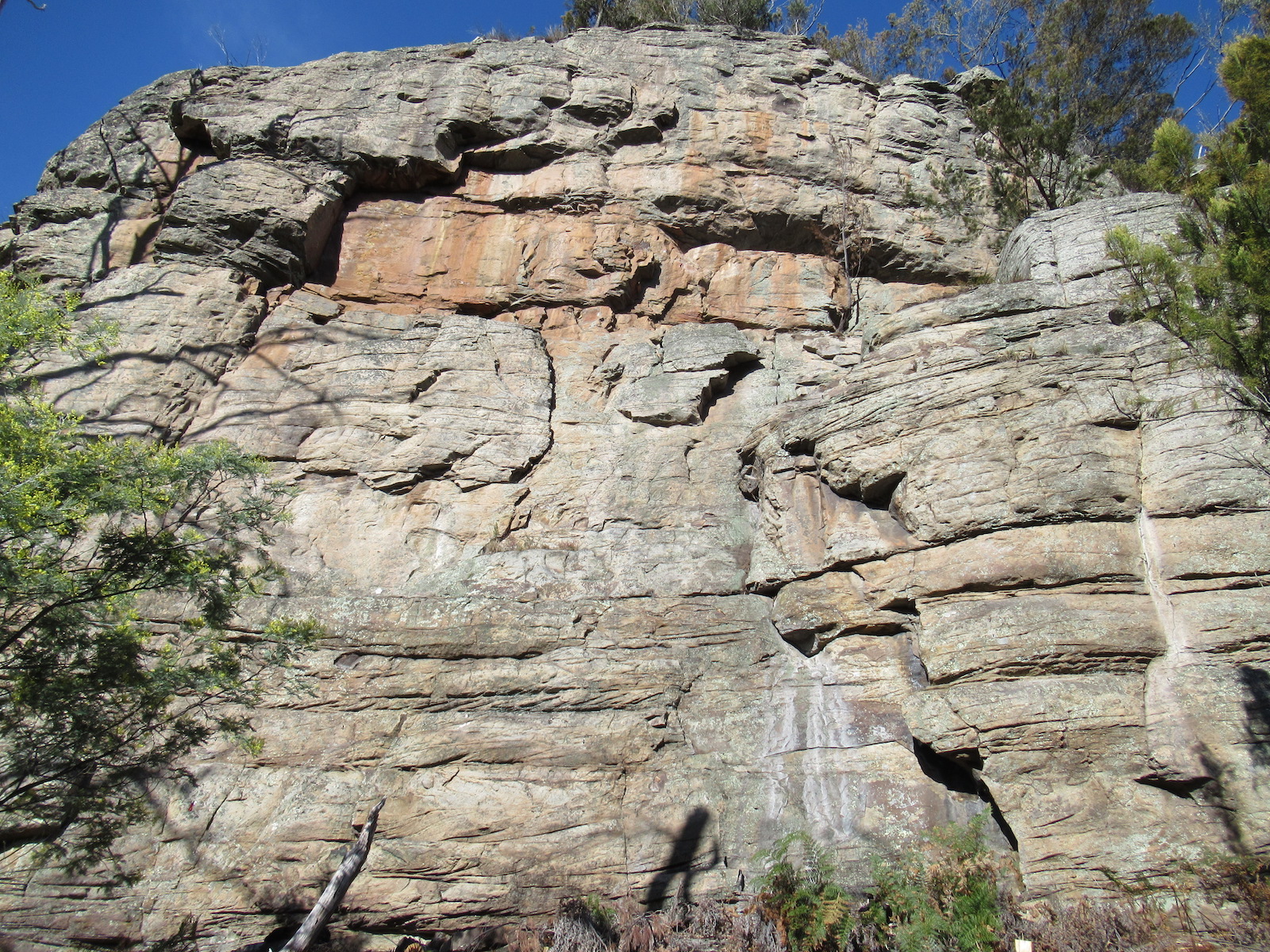 Plebian Wall RHS