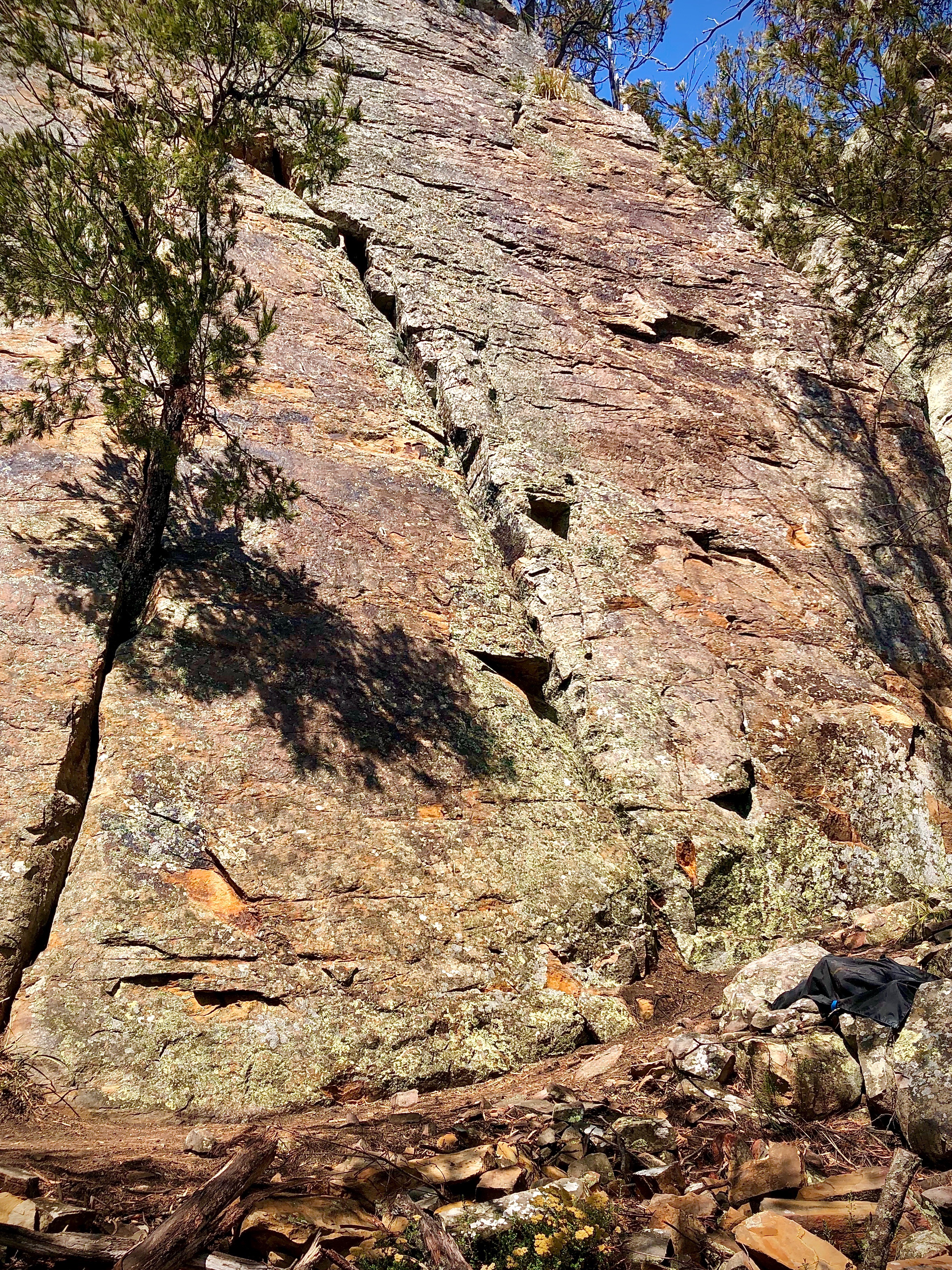 Buddy’s Slab right