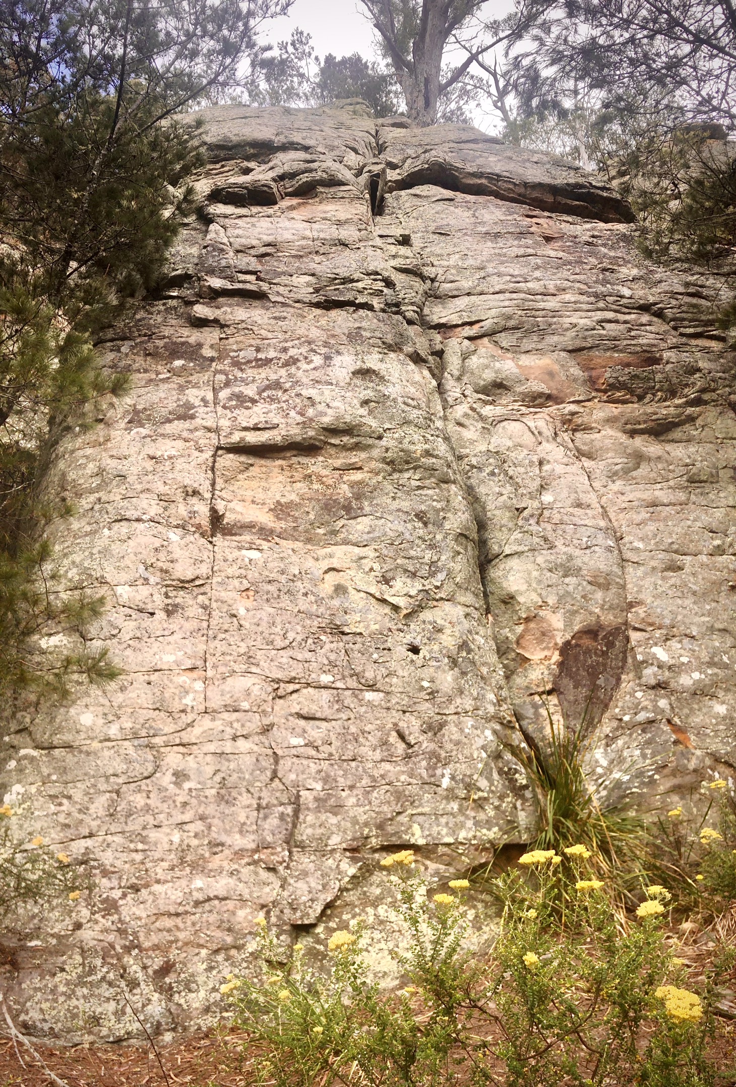 Hee Haw Buttress