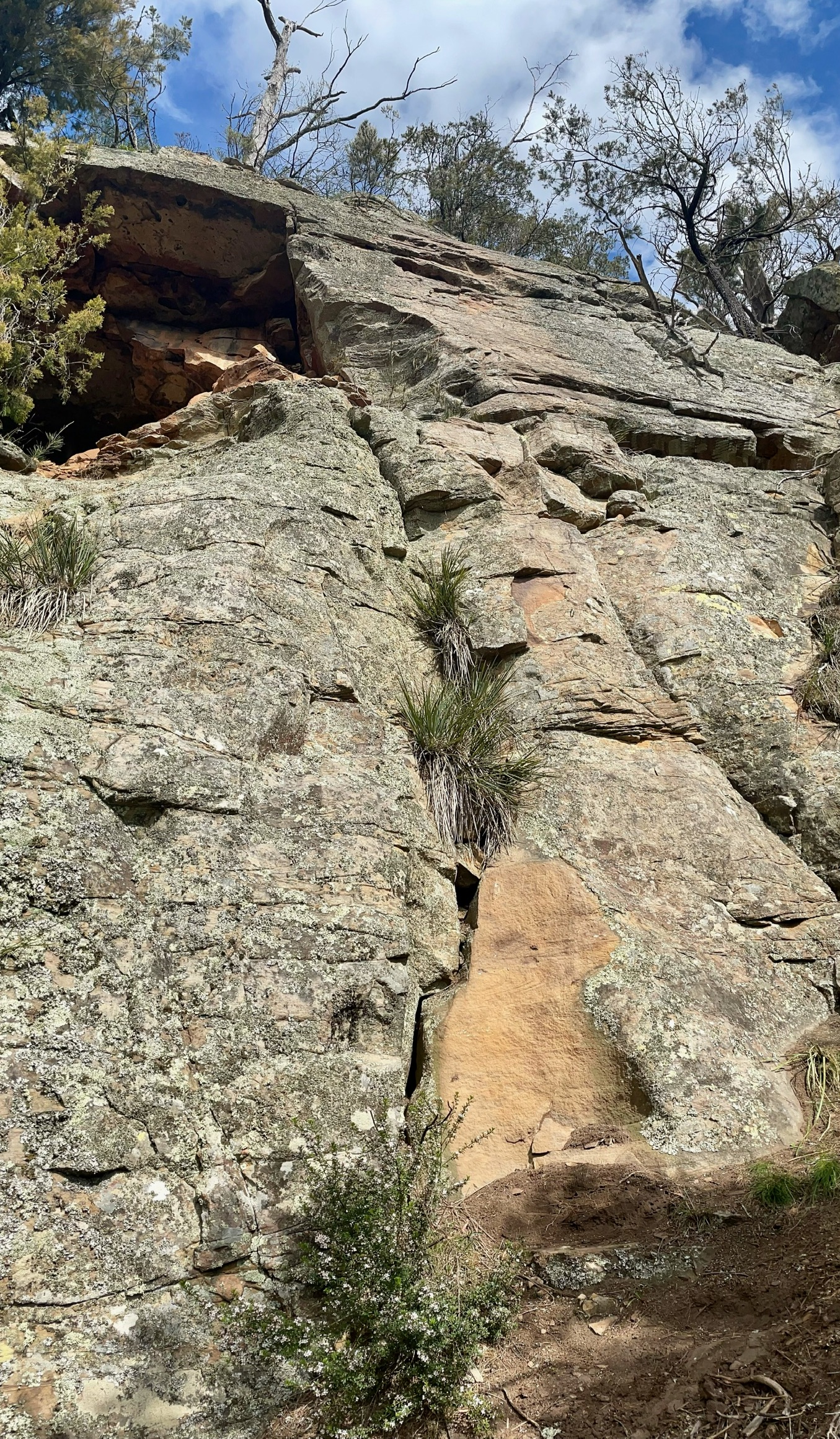 Rib and Slab right