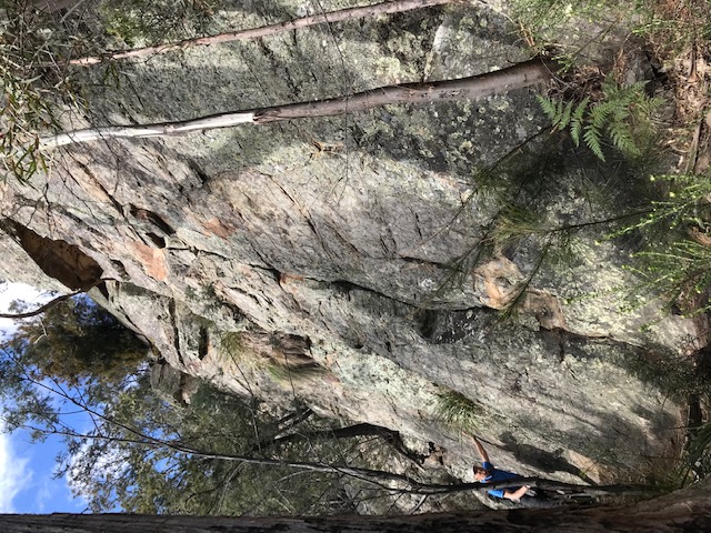 The Fall Zone