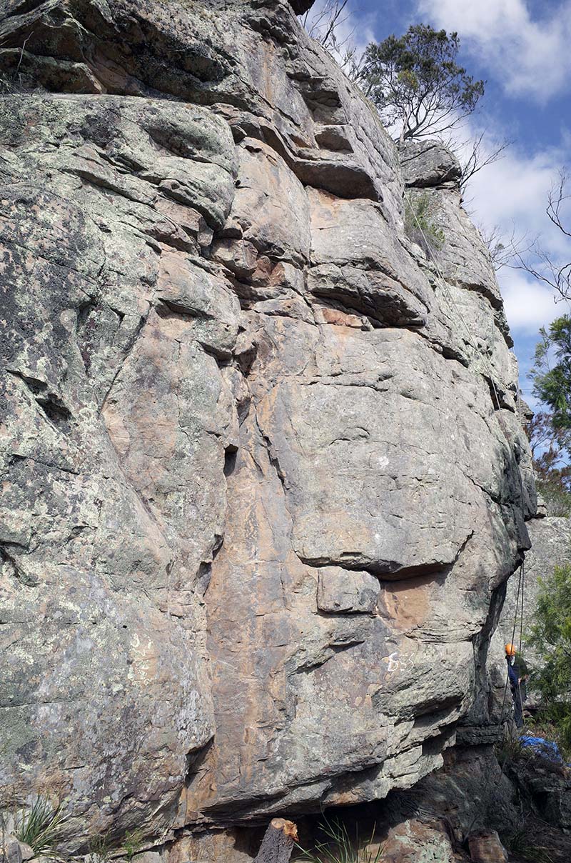 Larceny Wall