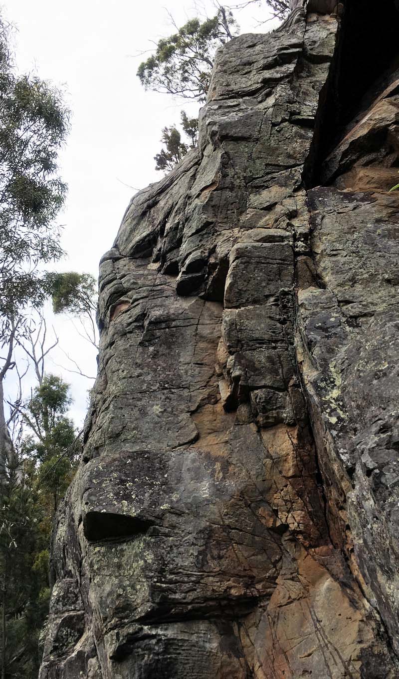 Baby Buttress