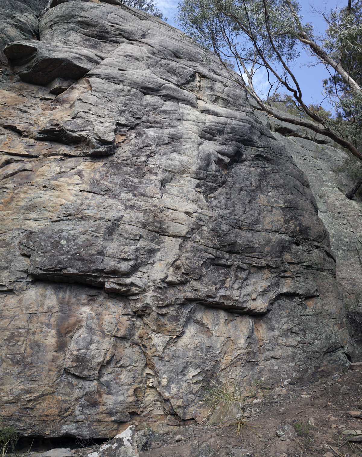 Bentham Wall Right