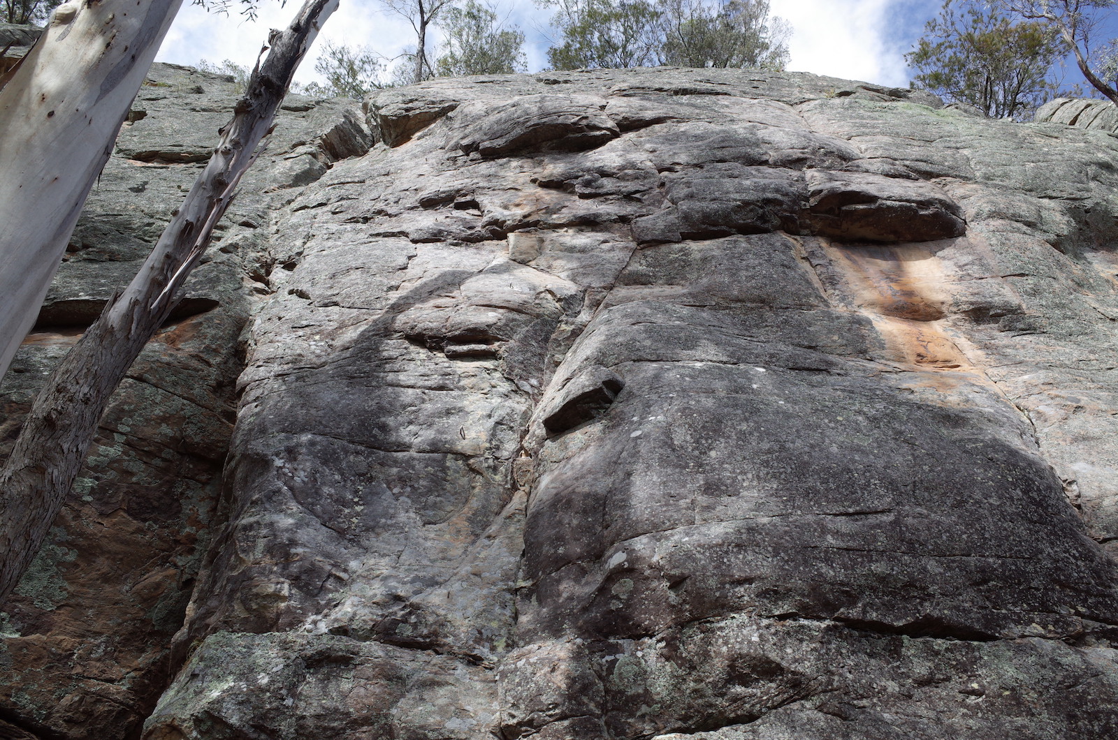 Bentham Wall Left