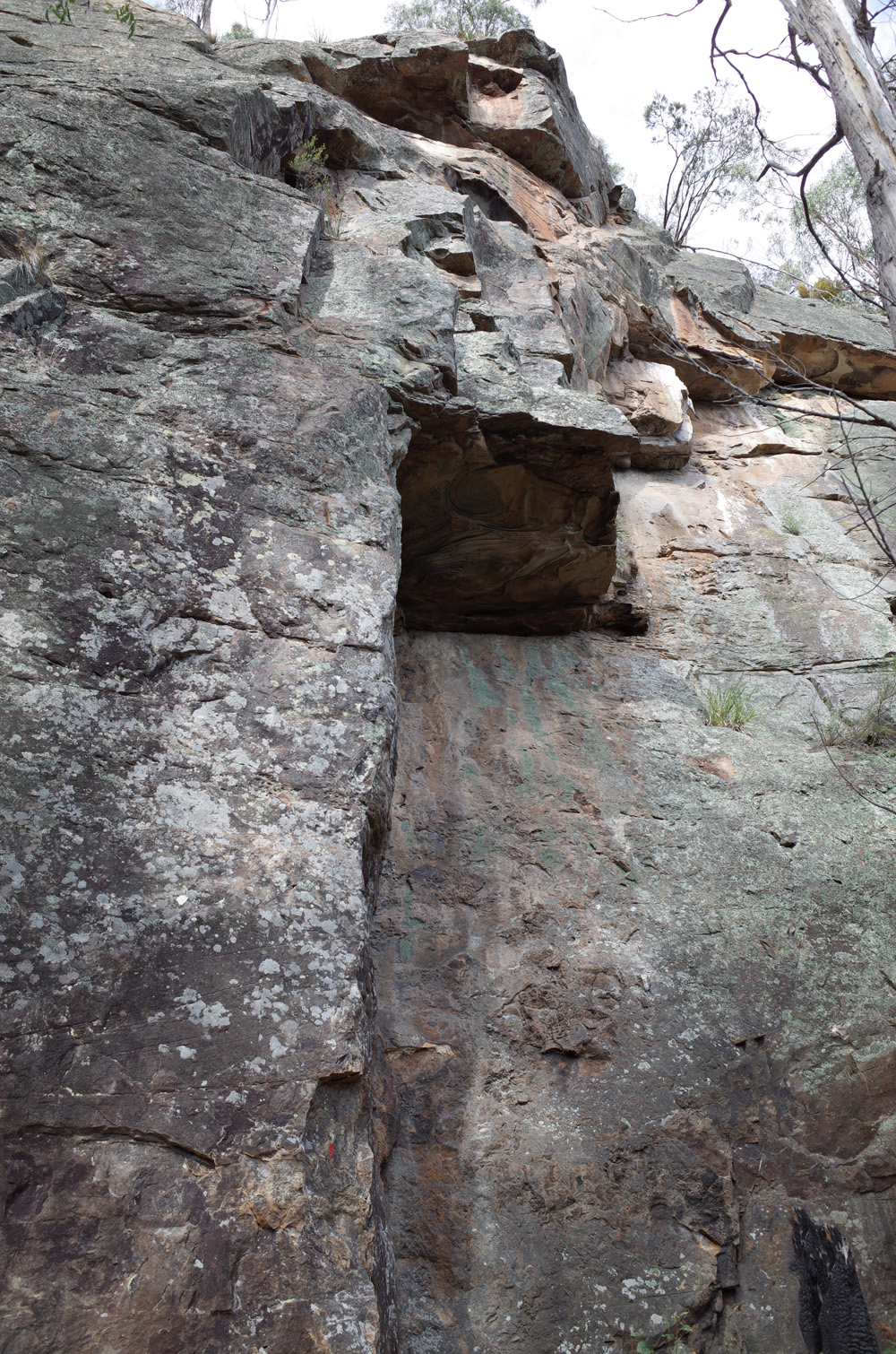 Foucault Buttress
