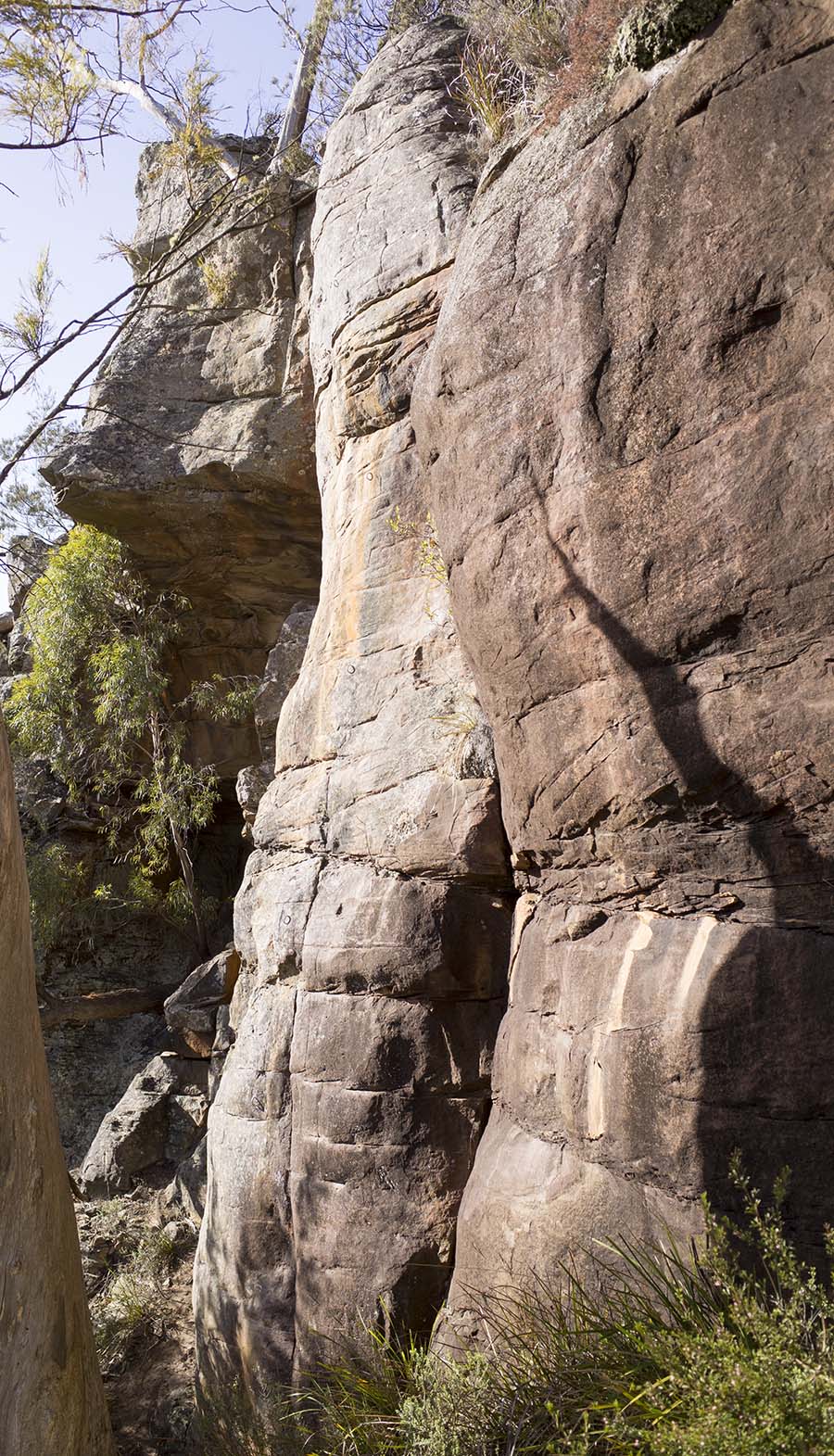 Gin and Tonic Buttress