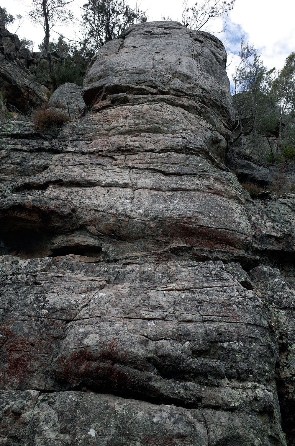 Consolidation Buttress