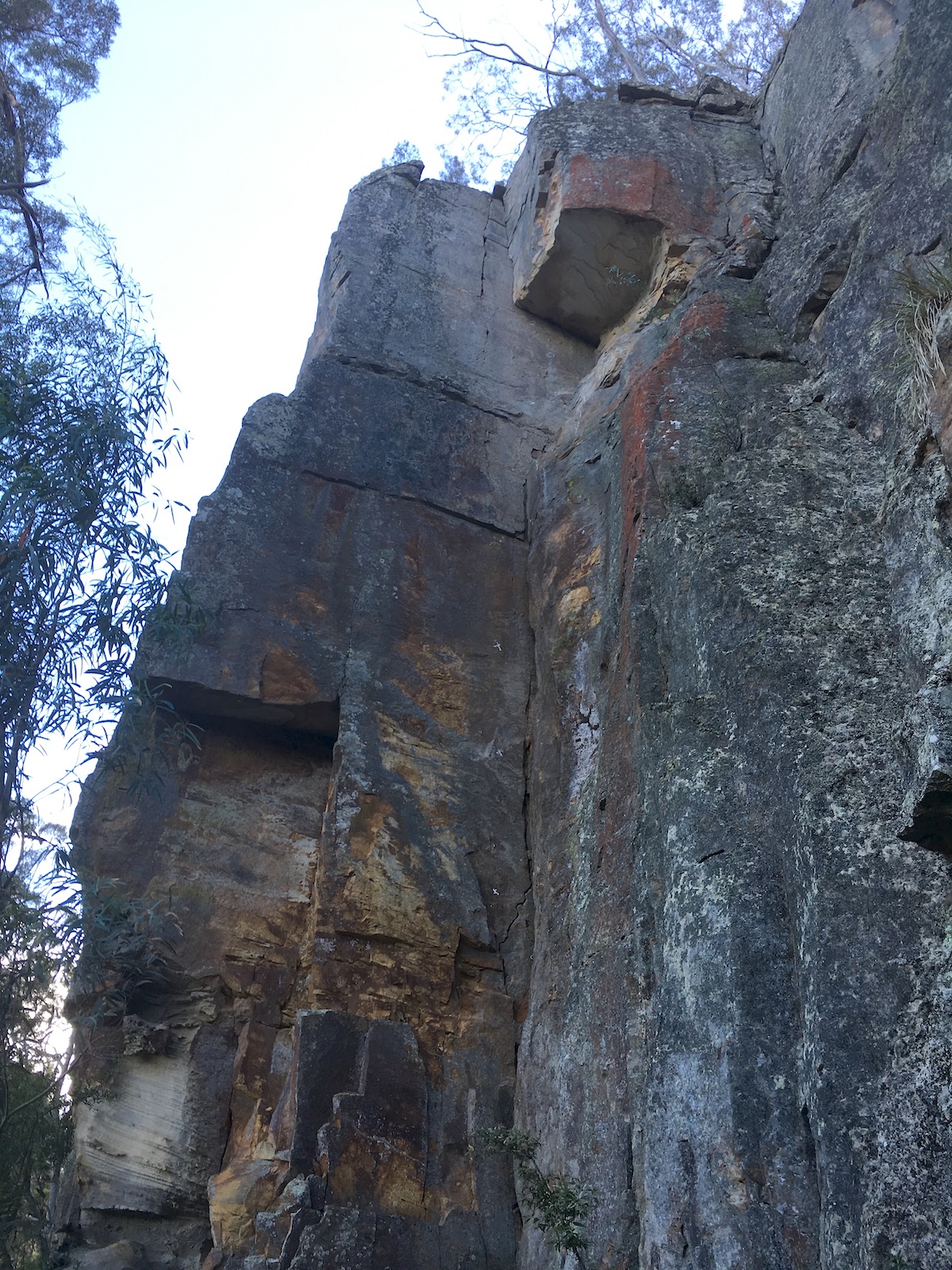 Romance Buttress