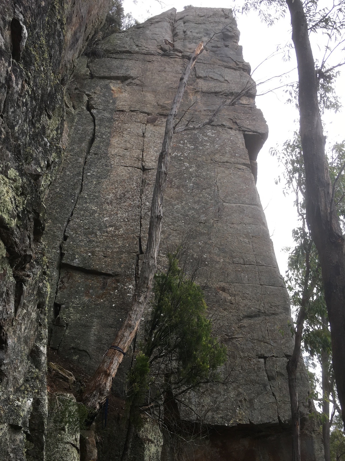 Romance Buttress