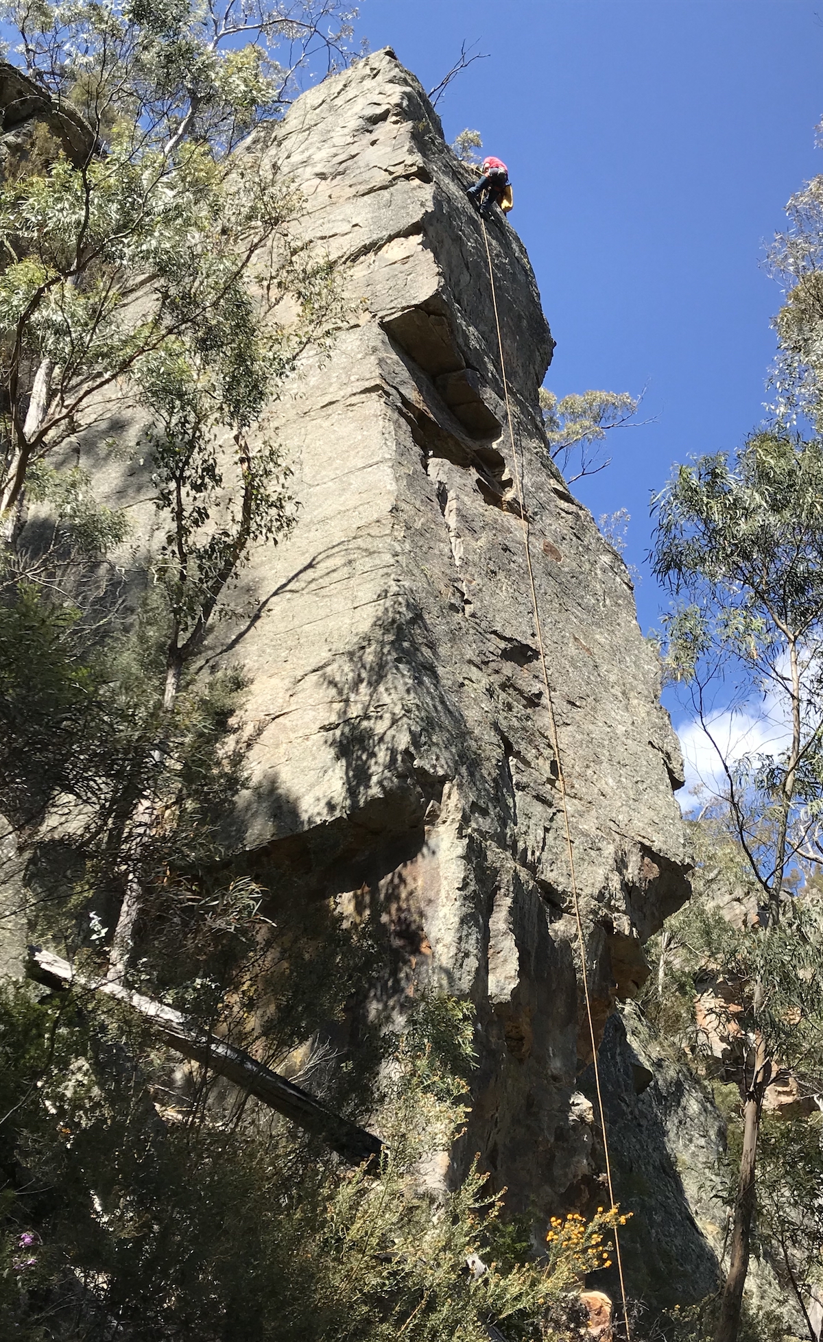 Romance Buttress