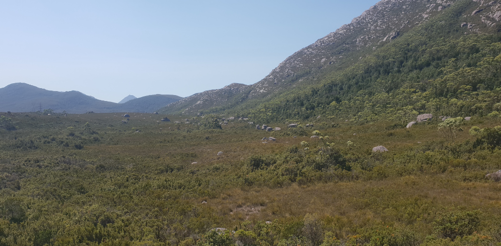 Base Of The Tyndal Area.PNG