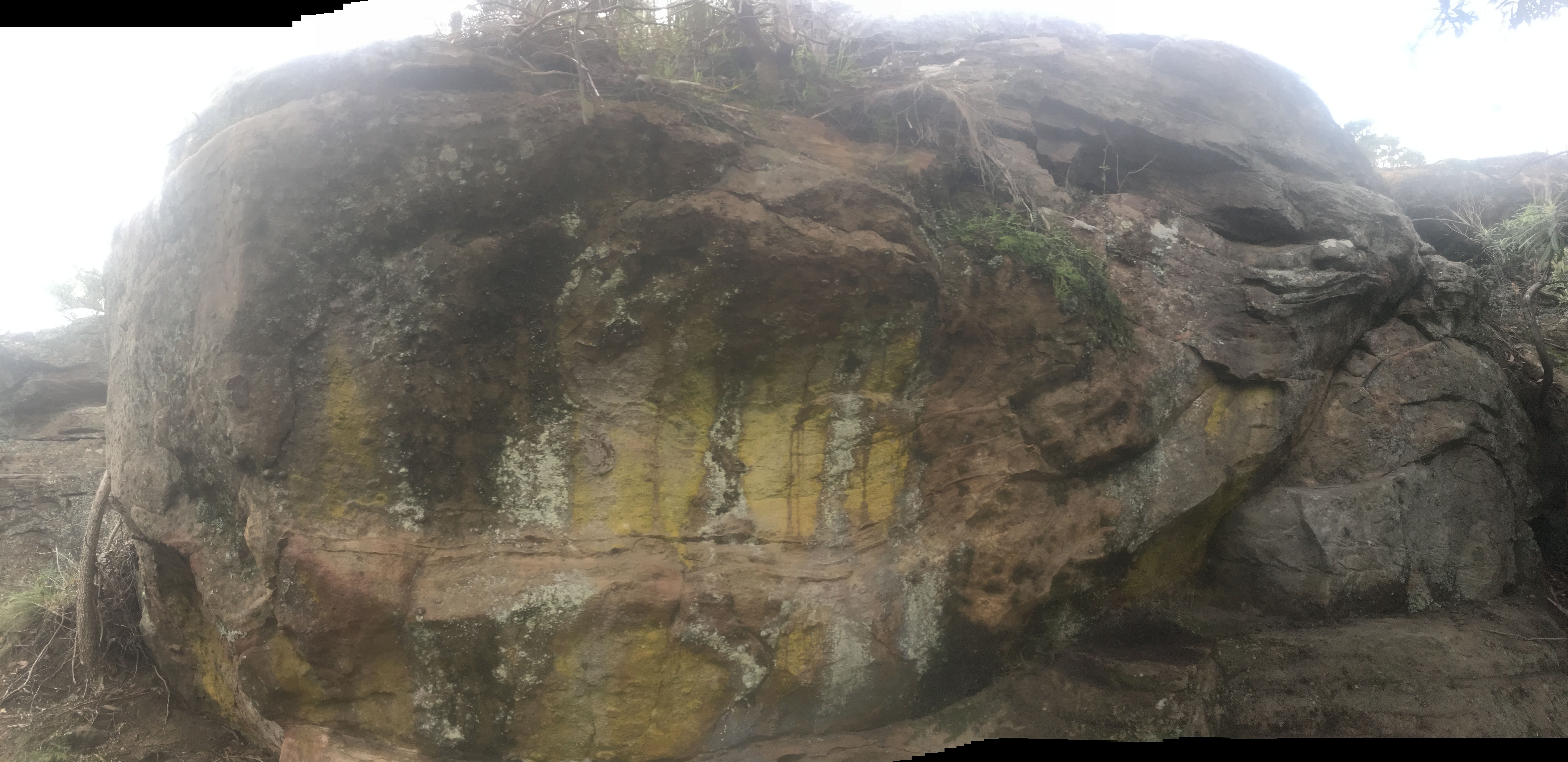 Mauritius Wall2.jpeg
