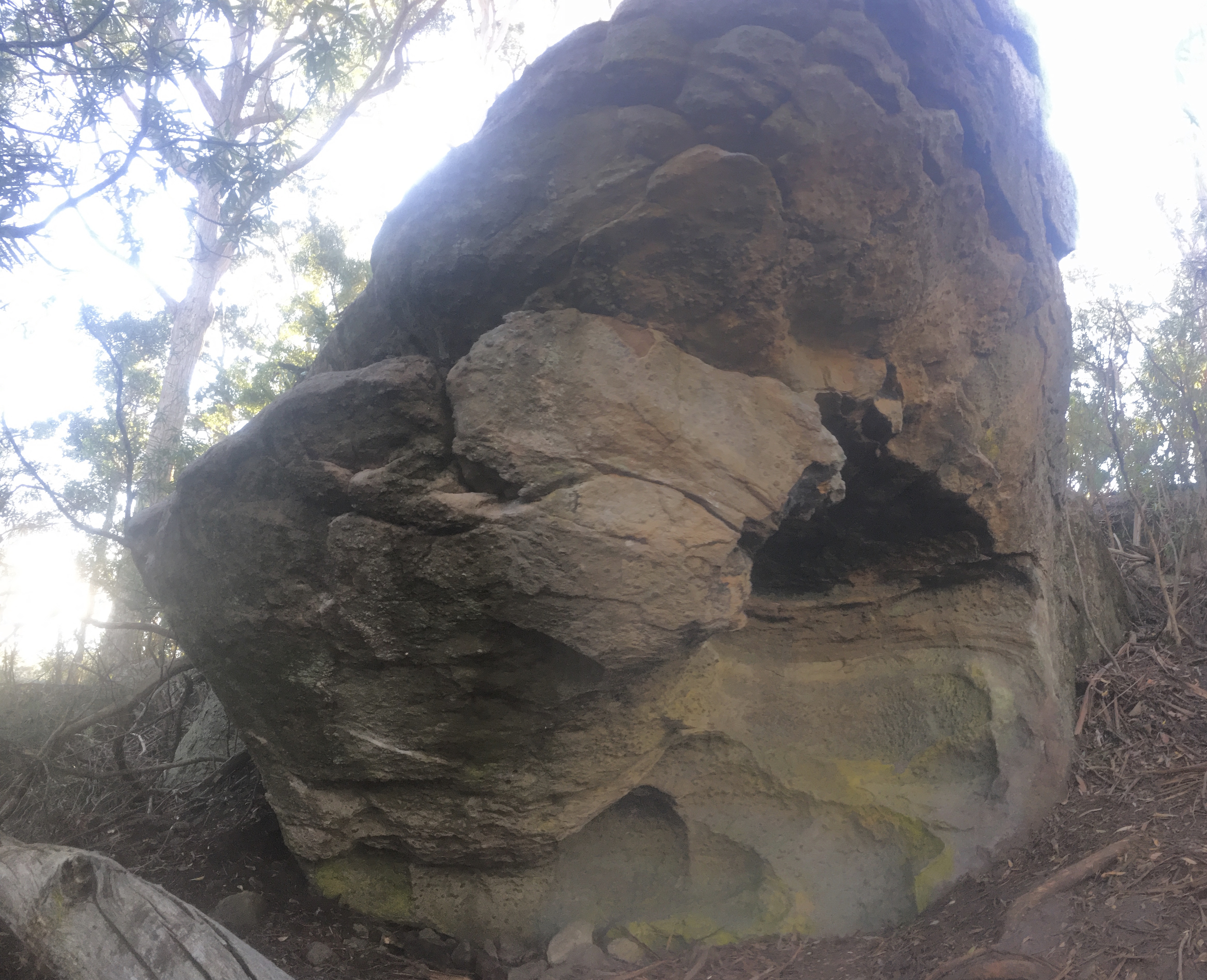 Pseudo-Isolation.Cave.jpeg