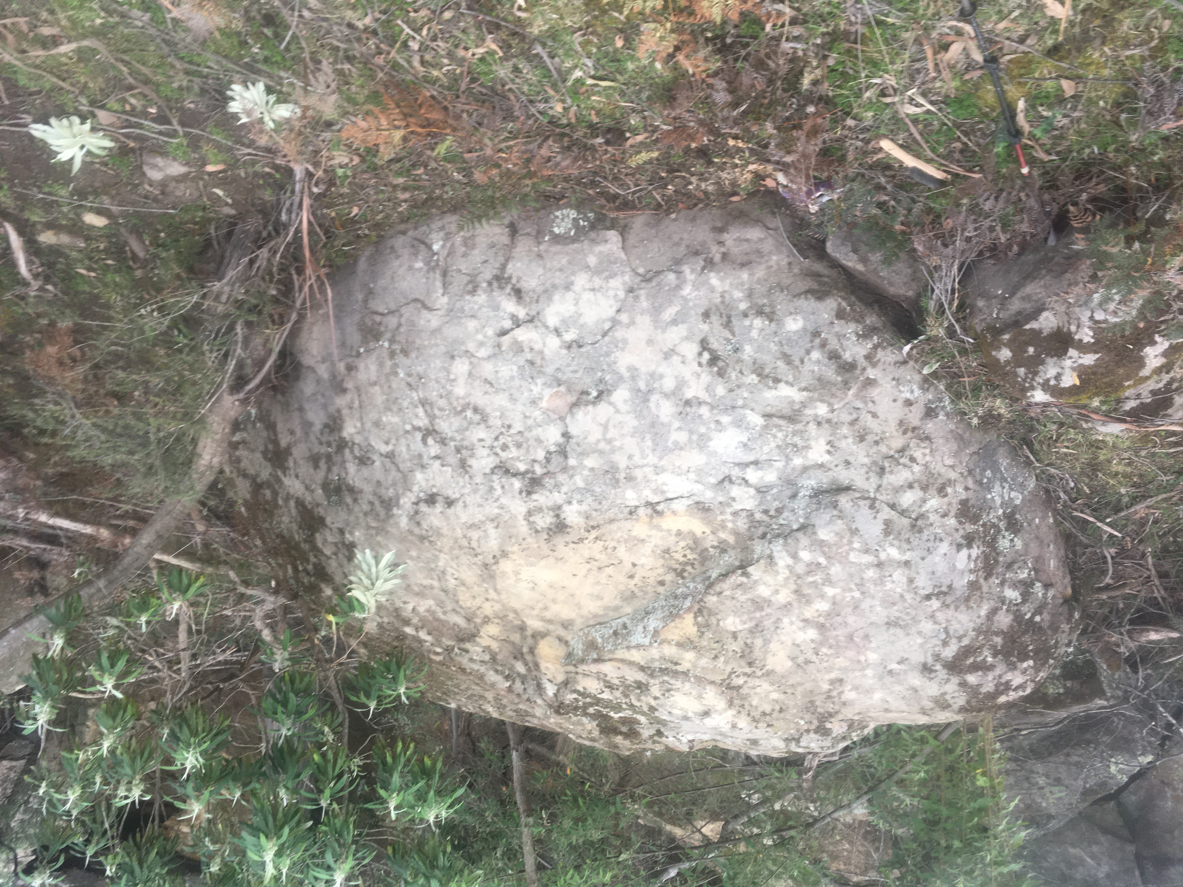 Toddler Boulder.jpeg