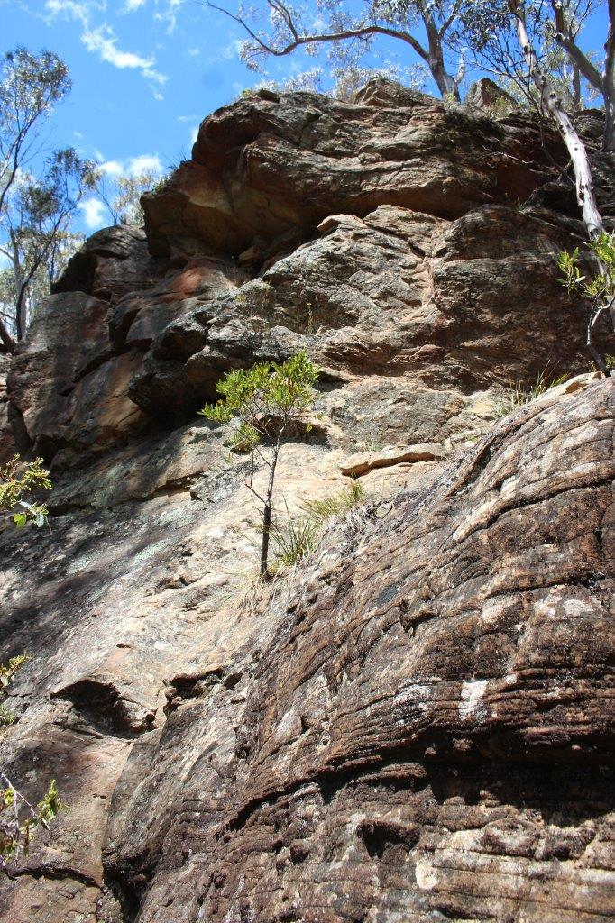 Main Cliff RHS