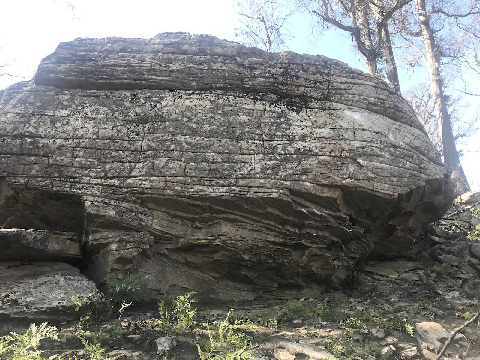 Banjo Boulder