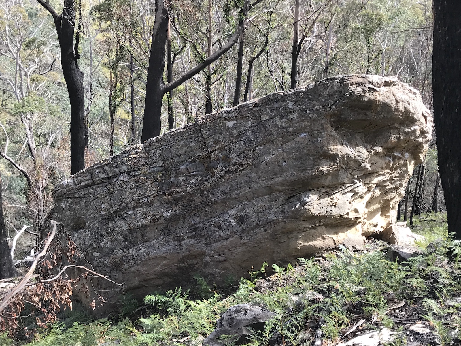Irony Boulder