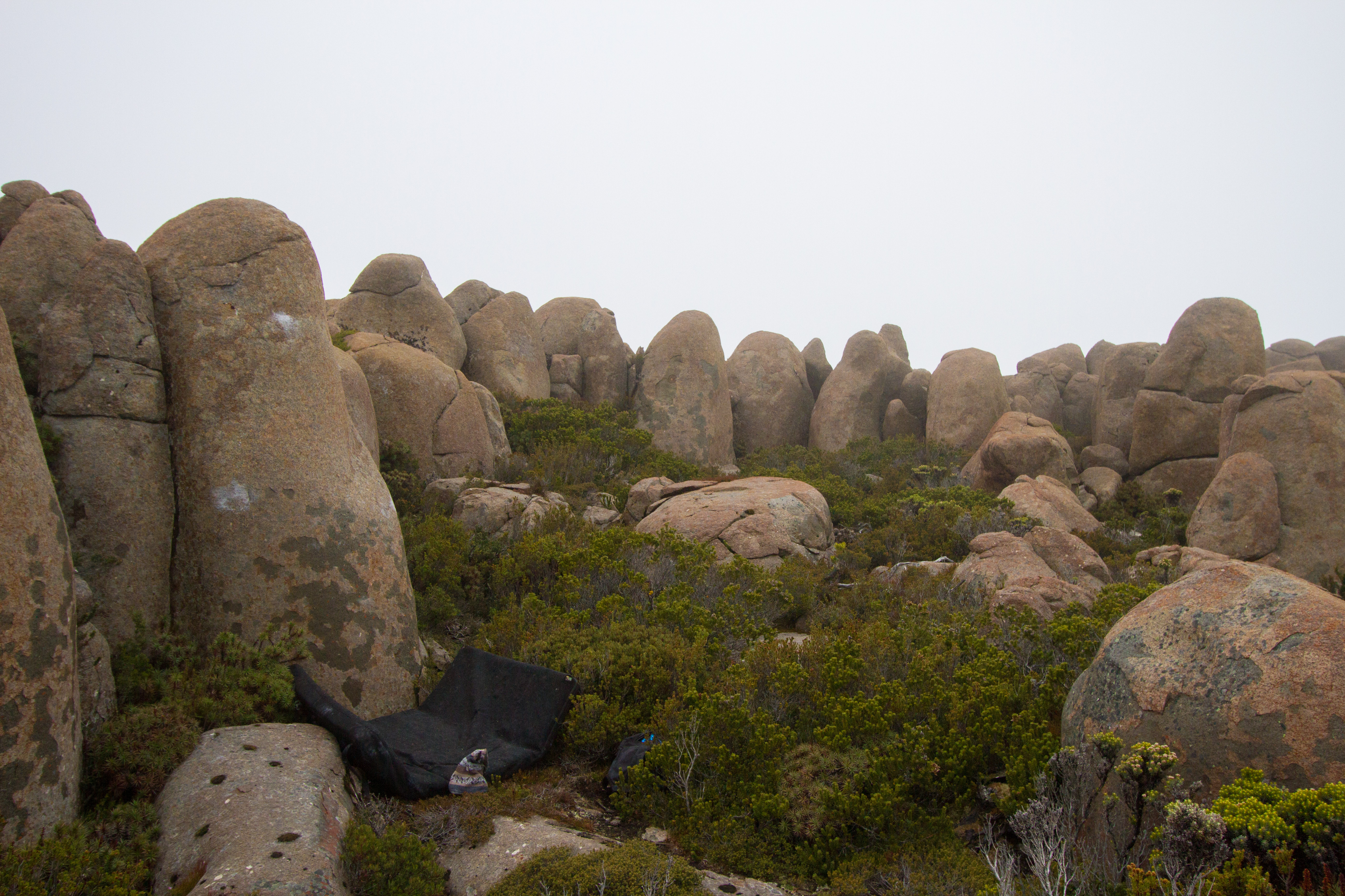 South Wellington area-2.jpg