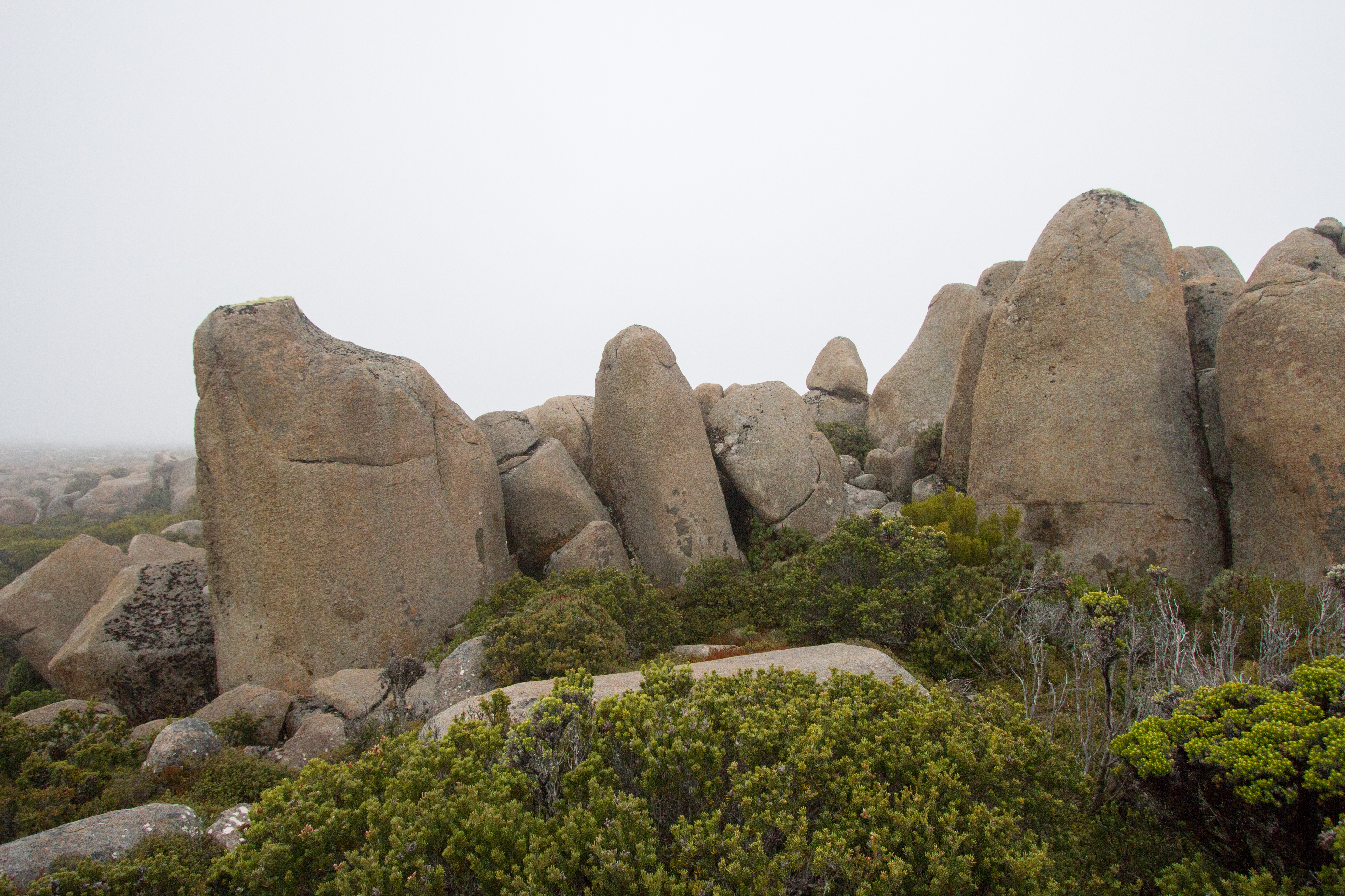 South Wellington area-3.jpg