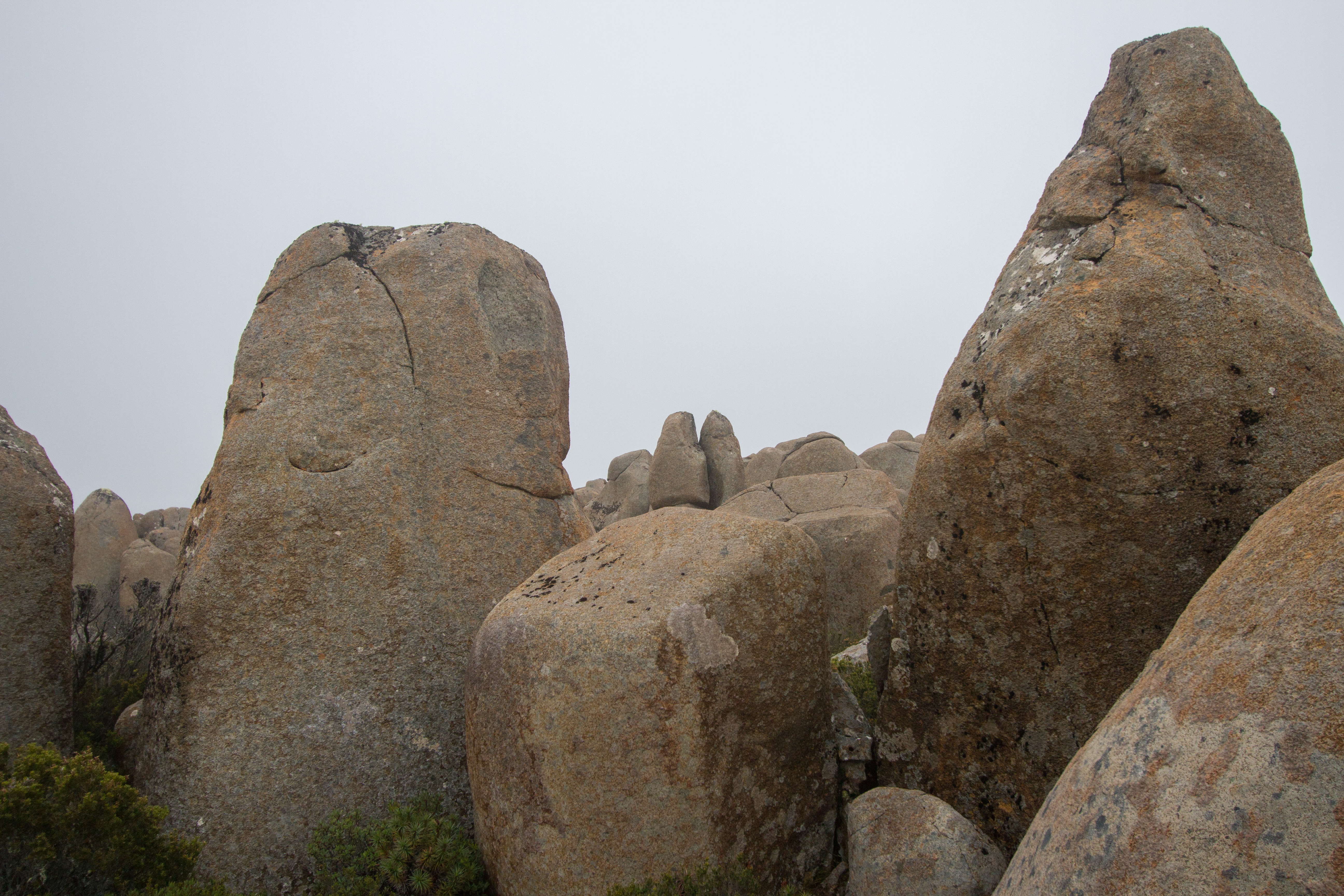 South Wellington area-4.jpg