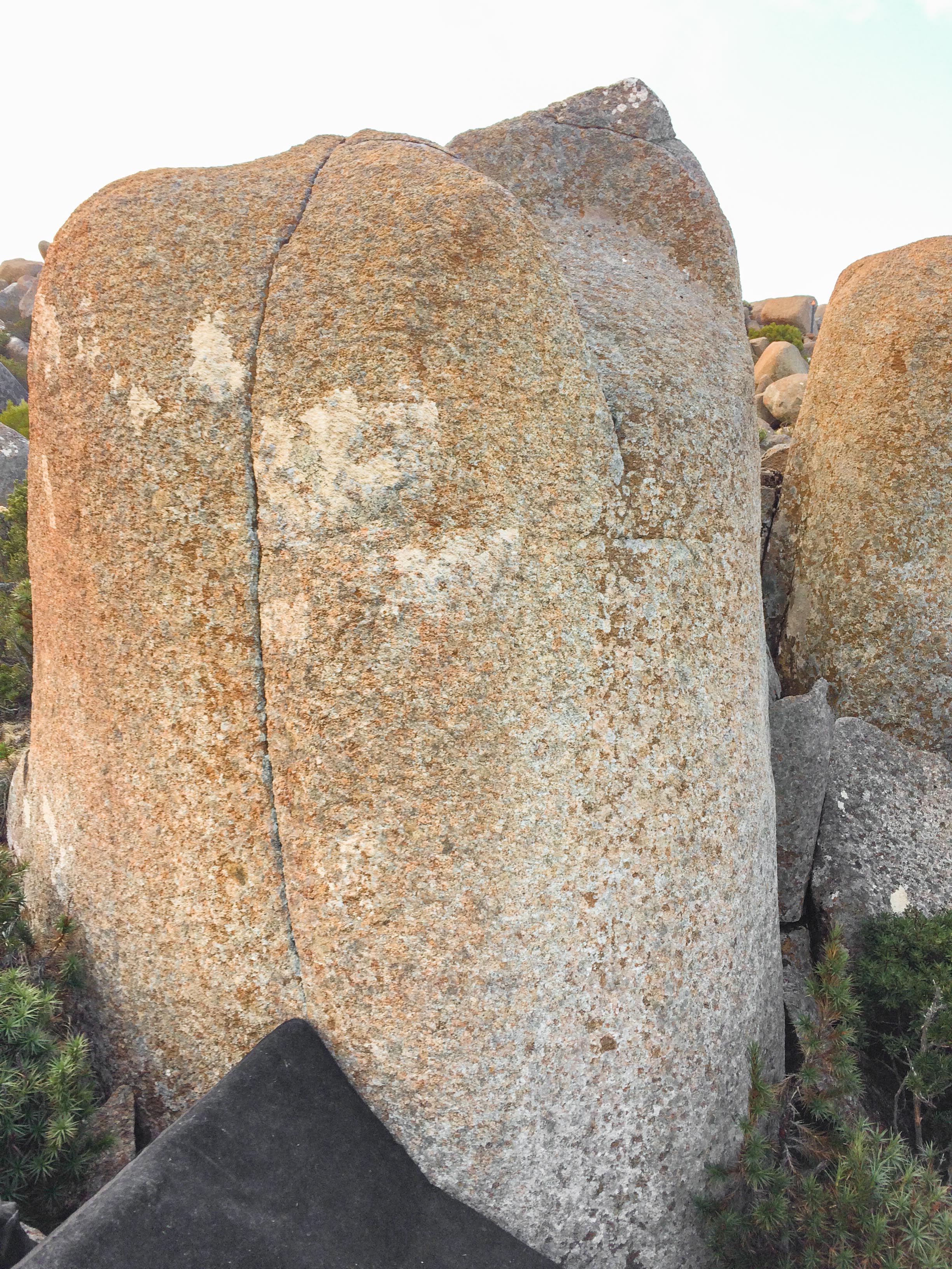Split tack