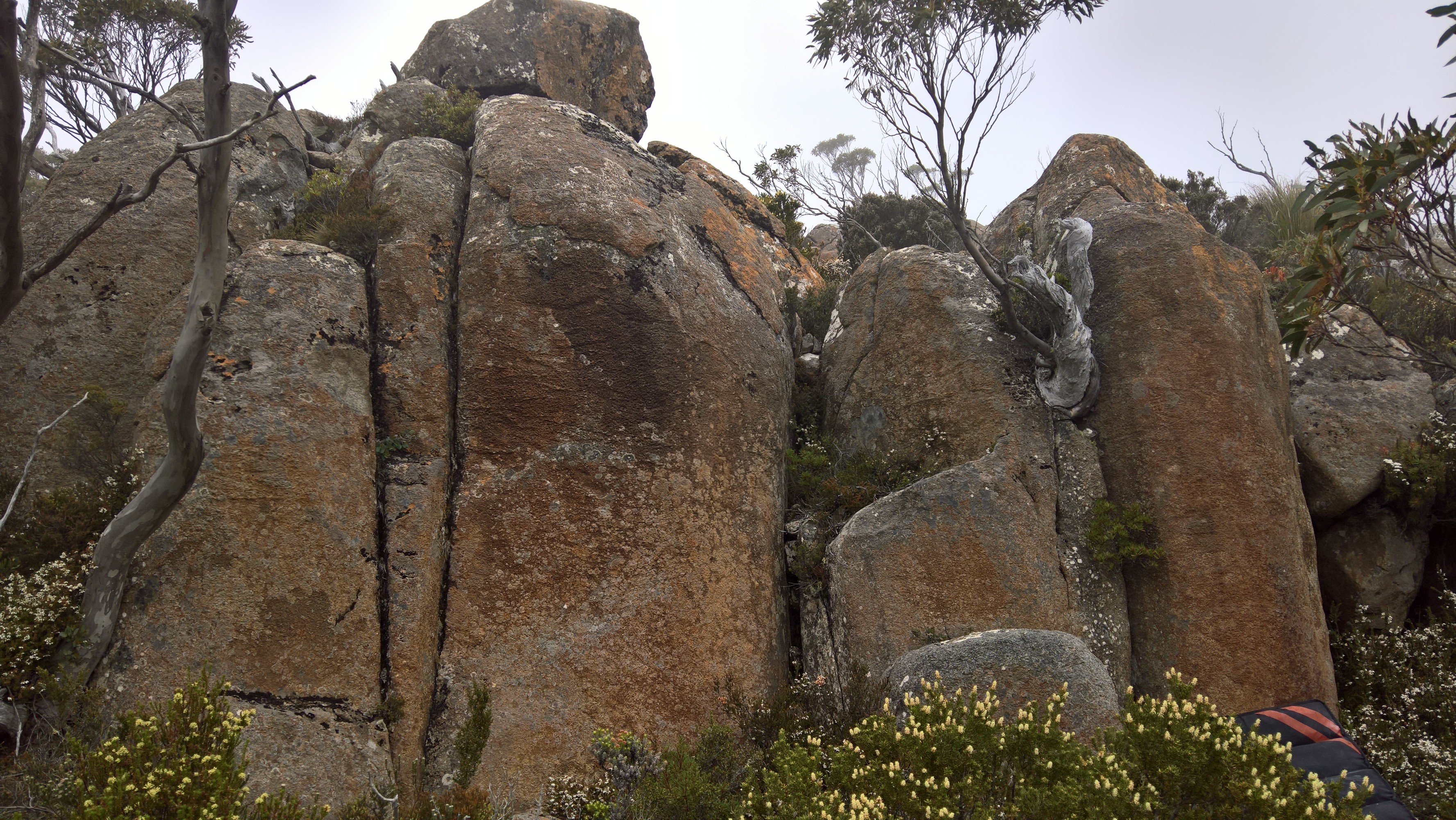 Luckmans - Rock farming.jpg