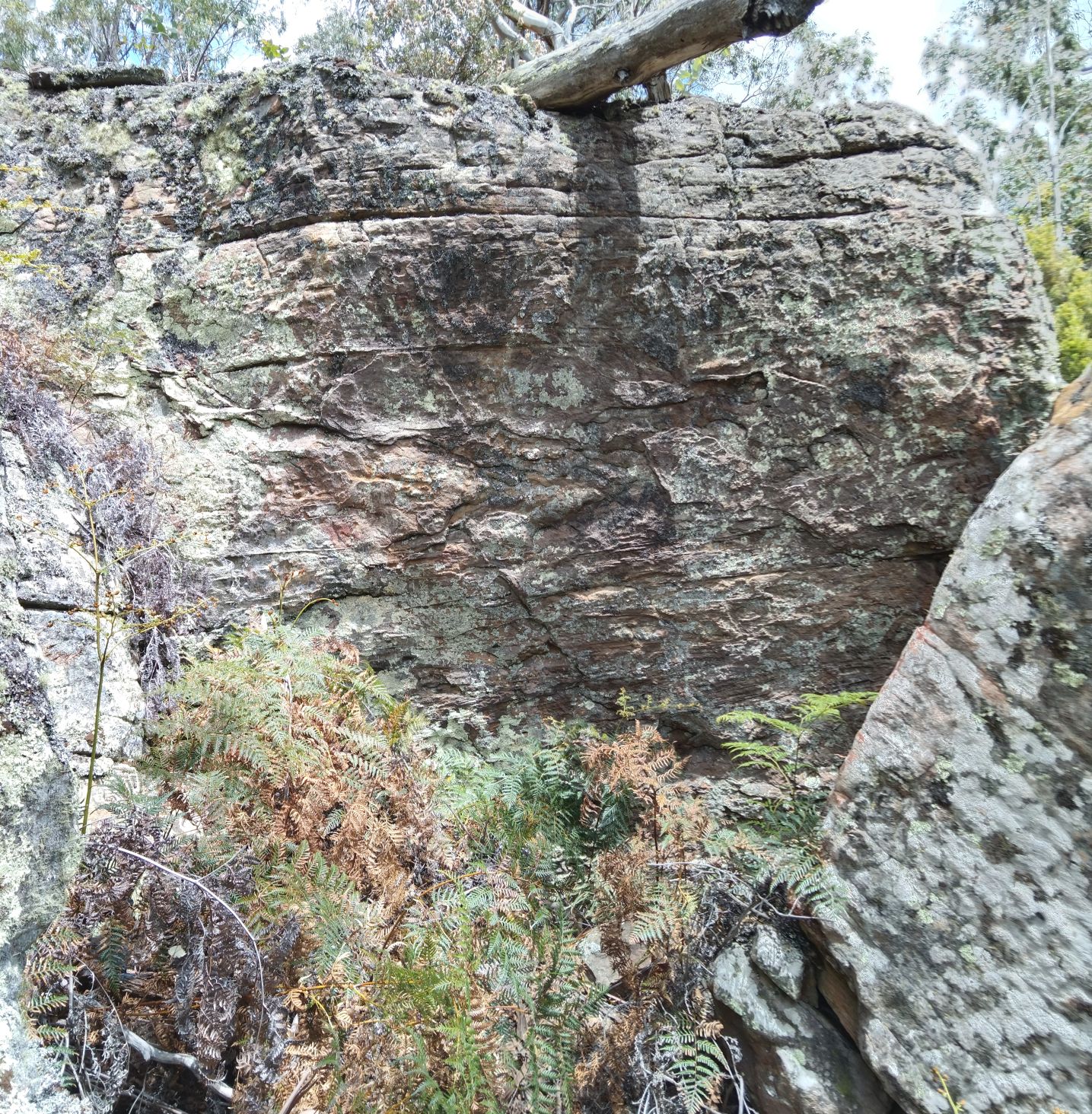 Back Wall Left