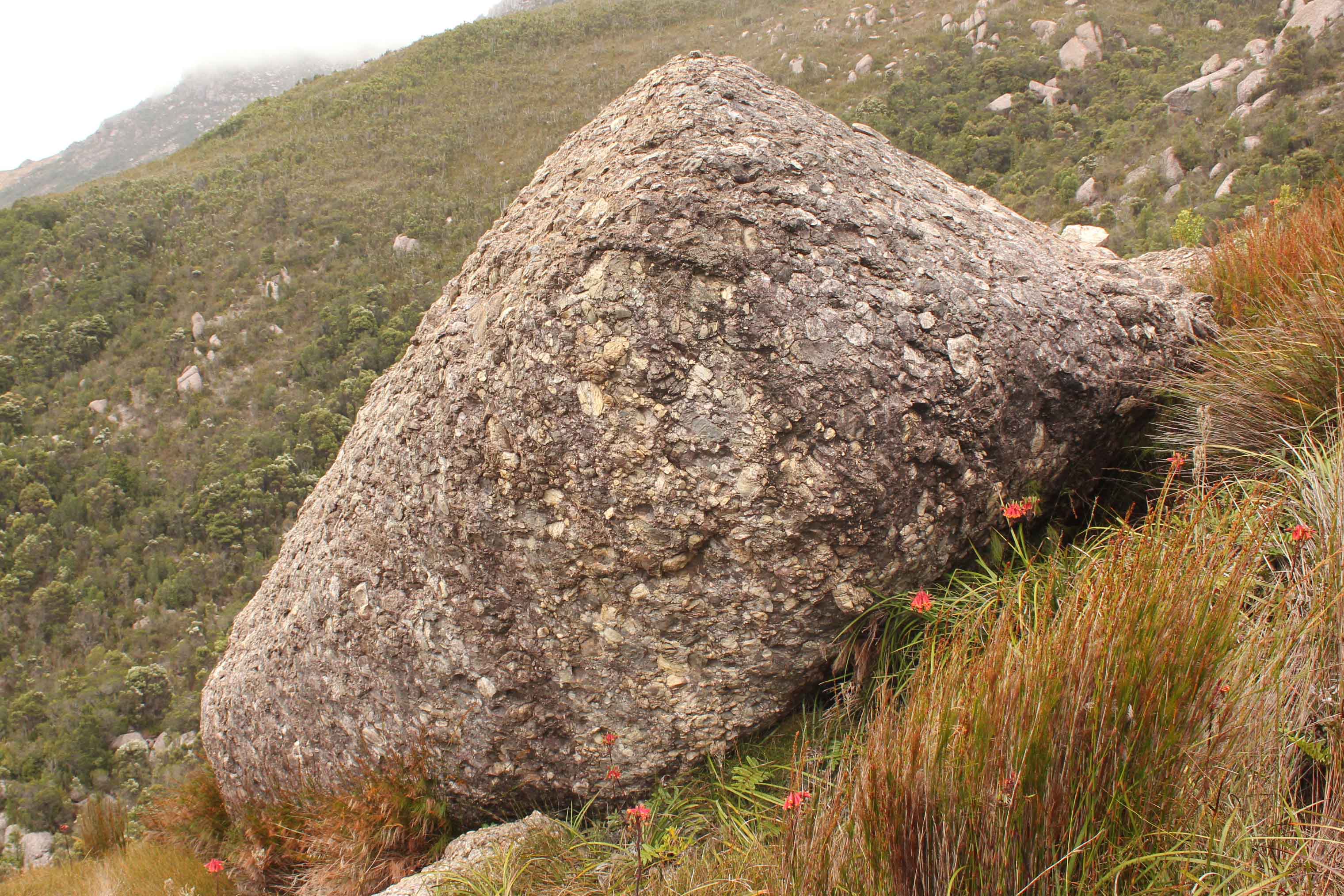 Django Unchained Boulder