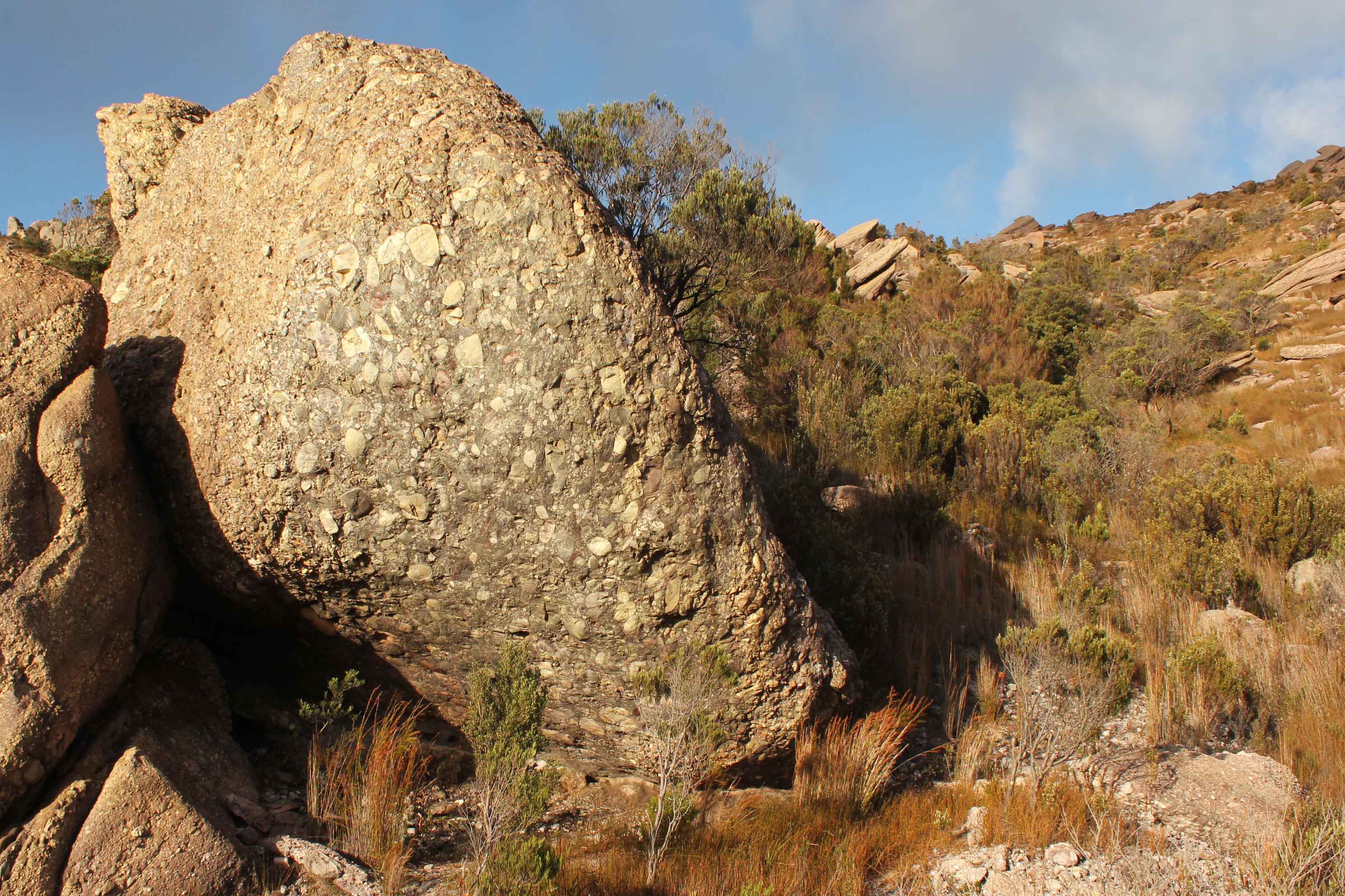 Little Buddha.jpg