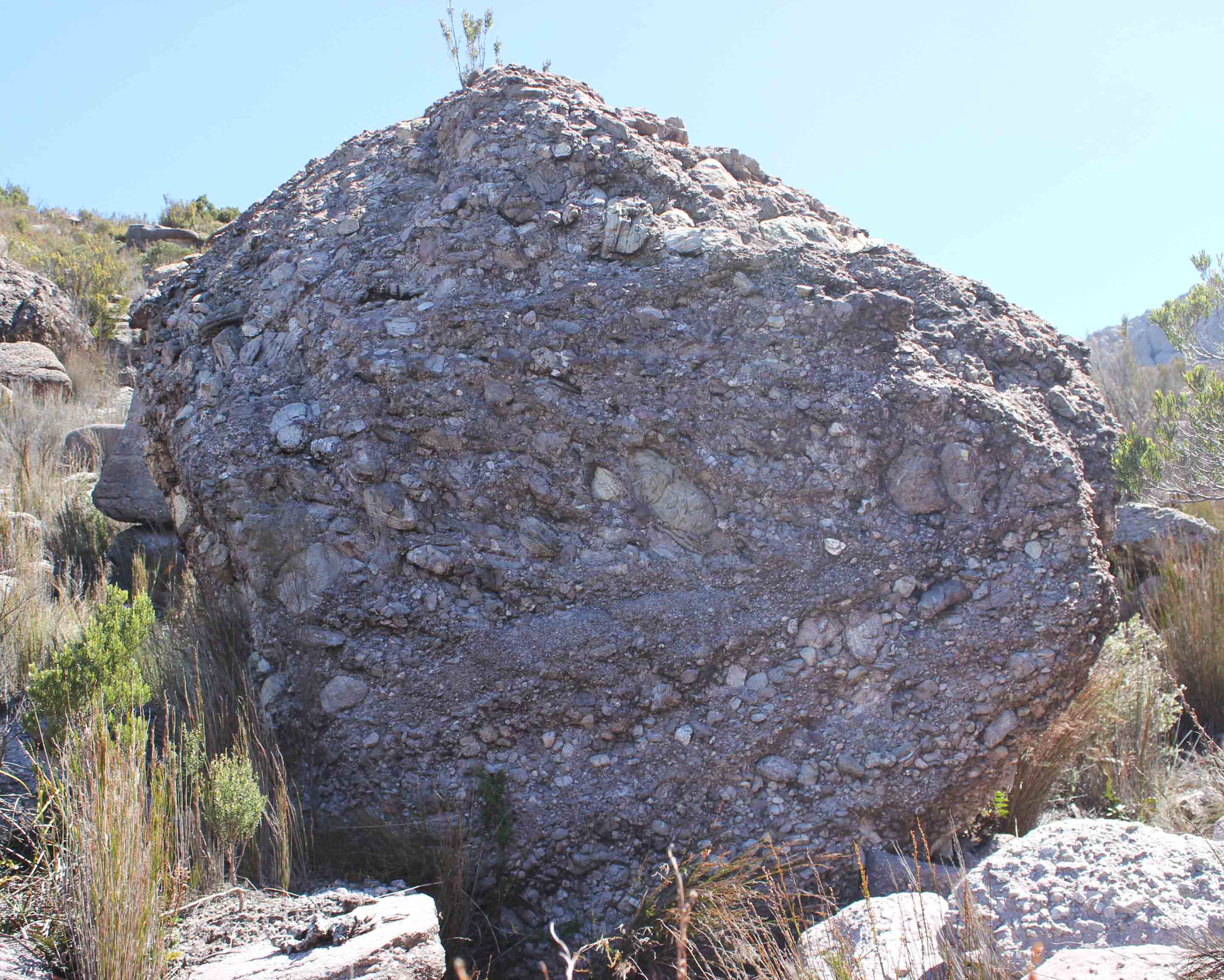 Black blob front.jpg