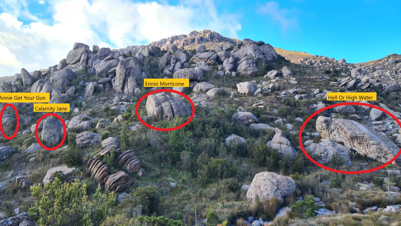 Main Area Topo.jpg