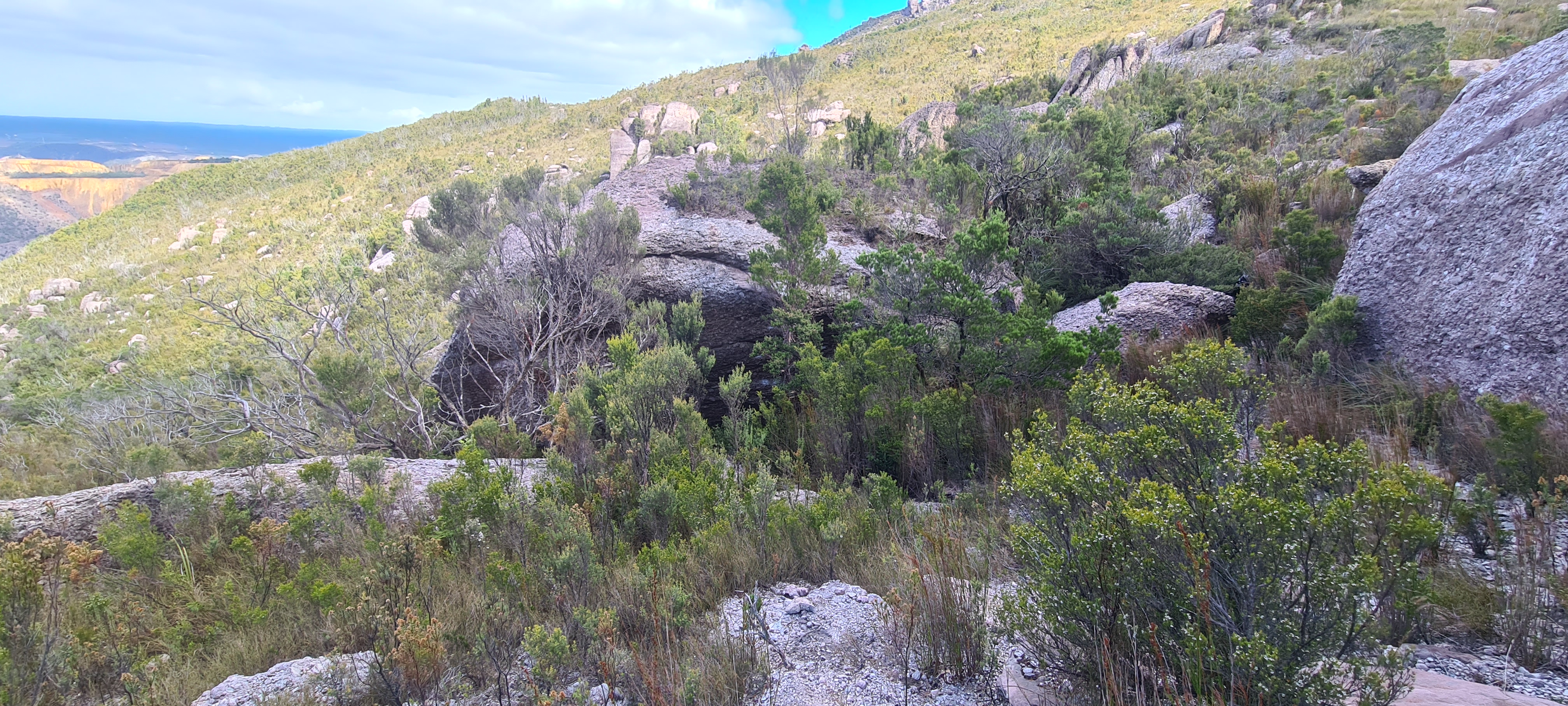 View From The Hill.jpg
