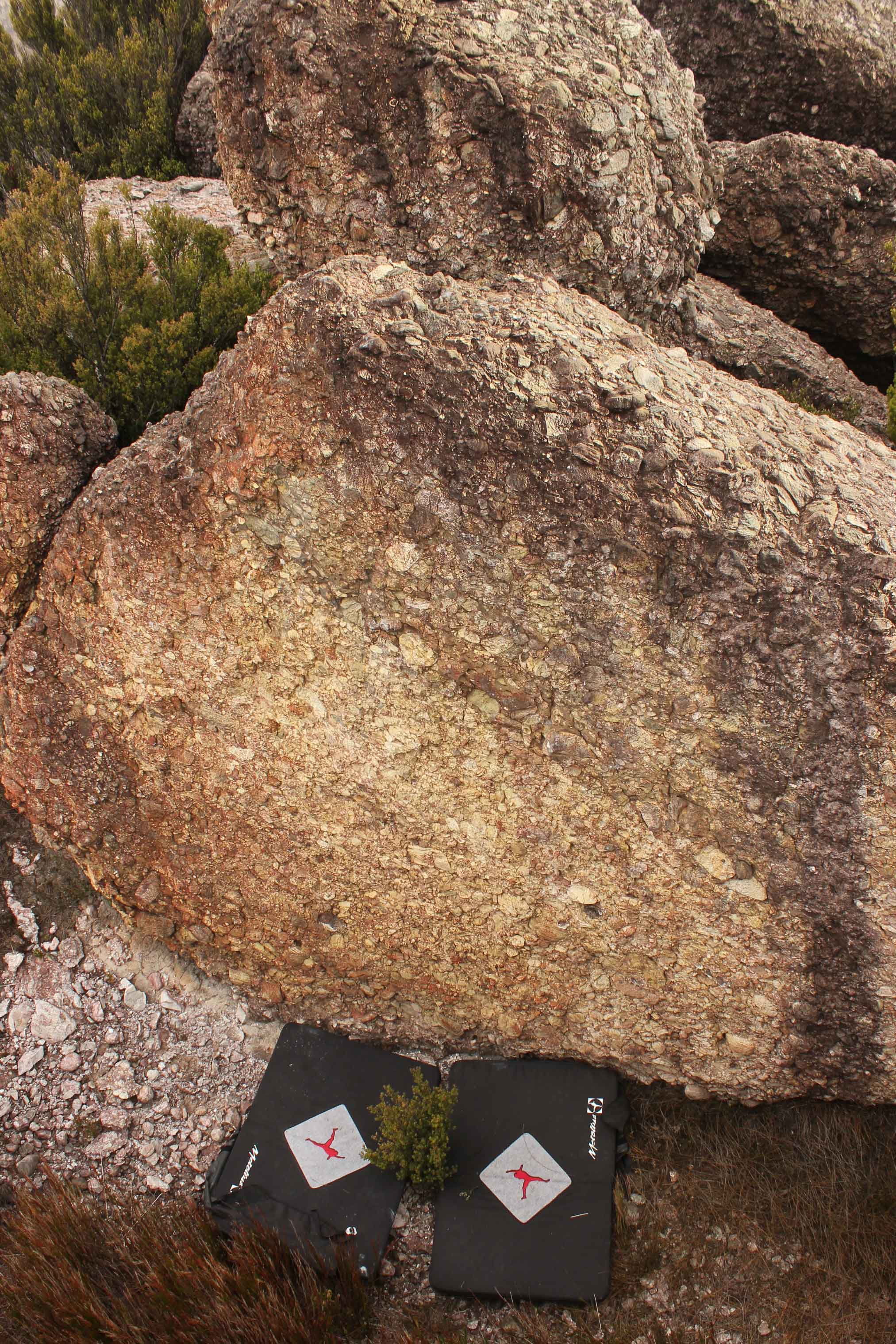 canyon face.jpg