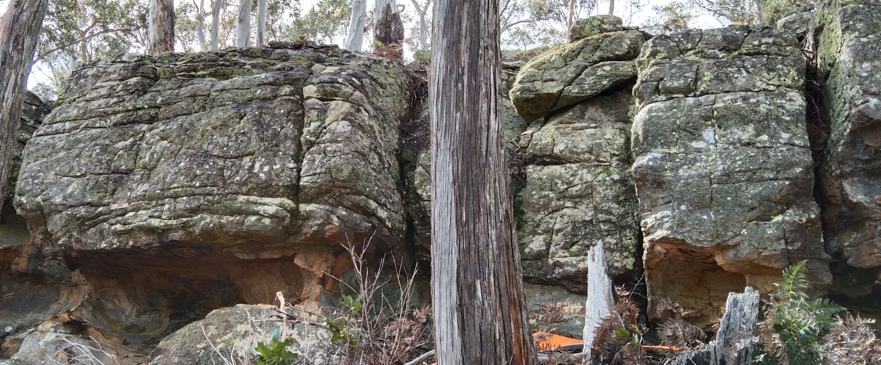main cave and fridge.jpg