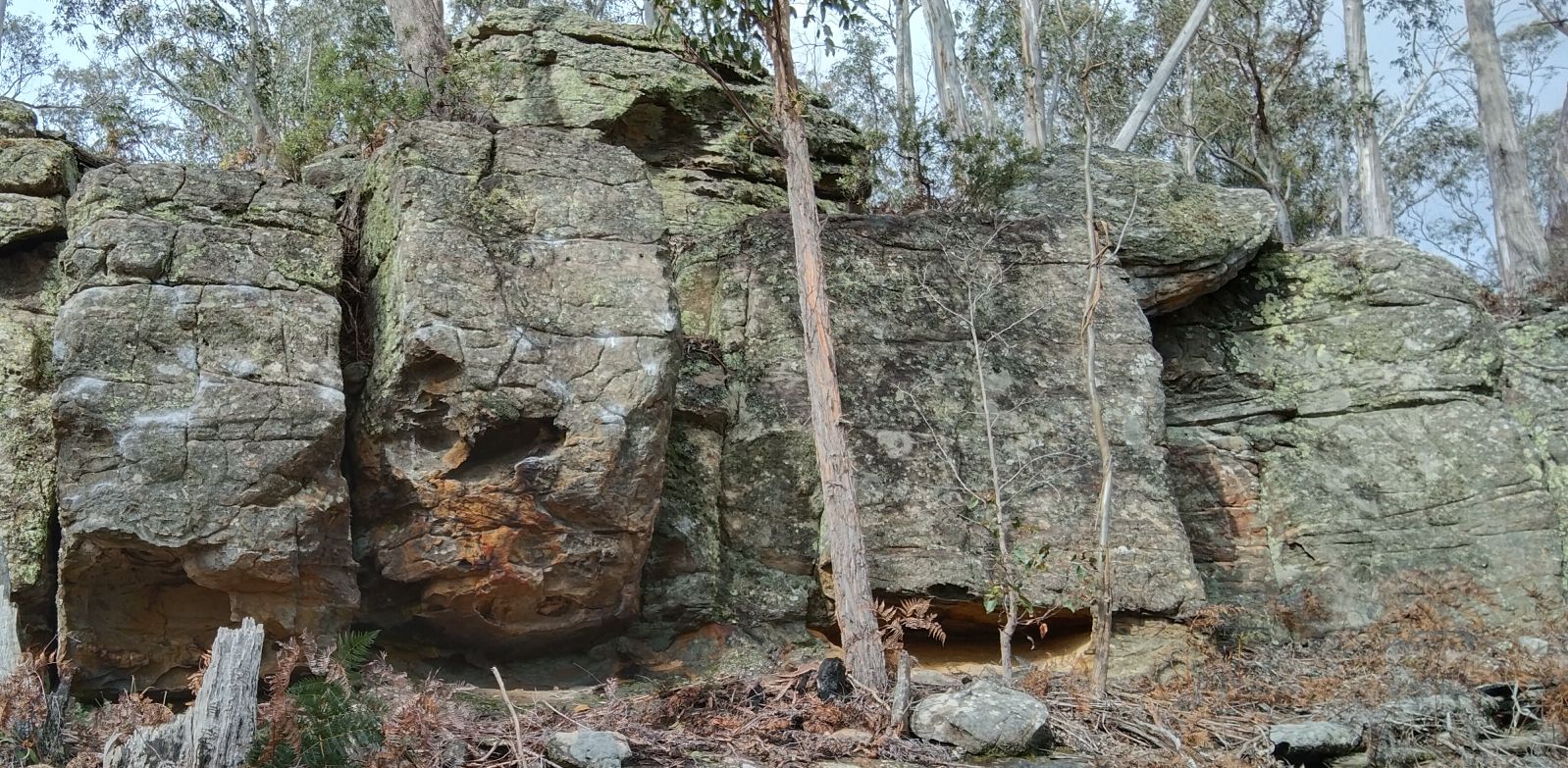 slabs and fridge.jpg