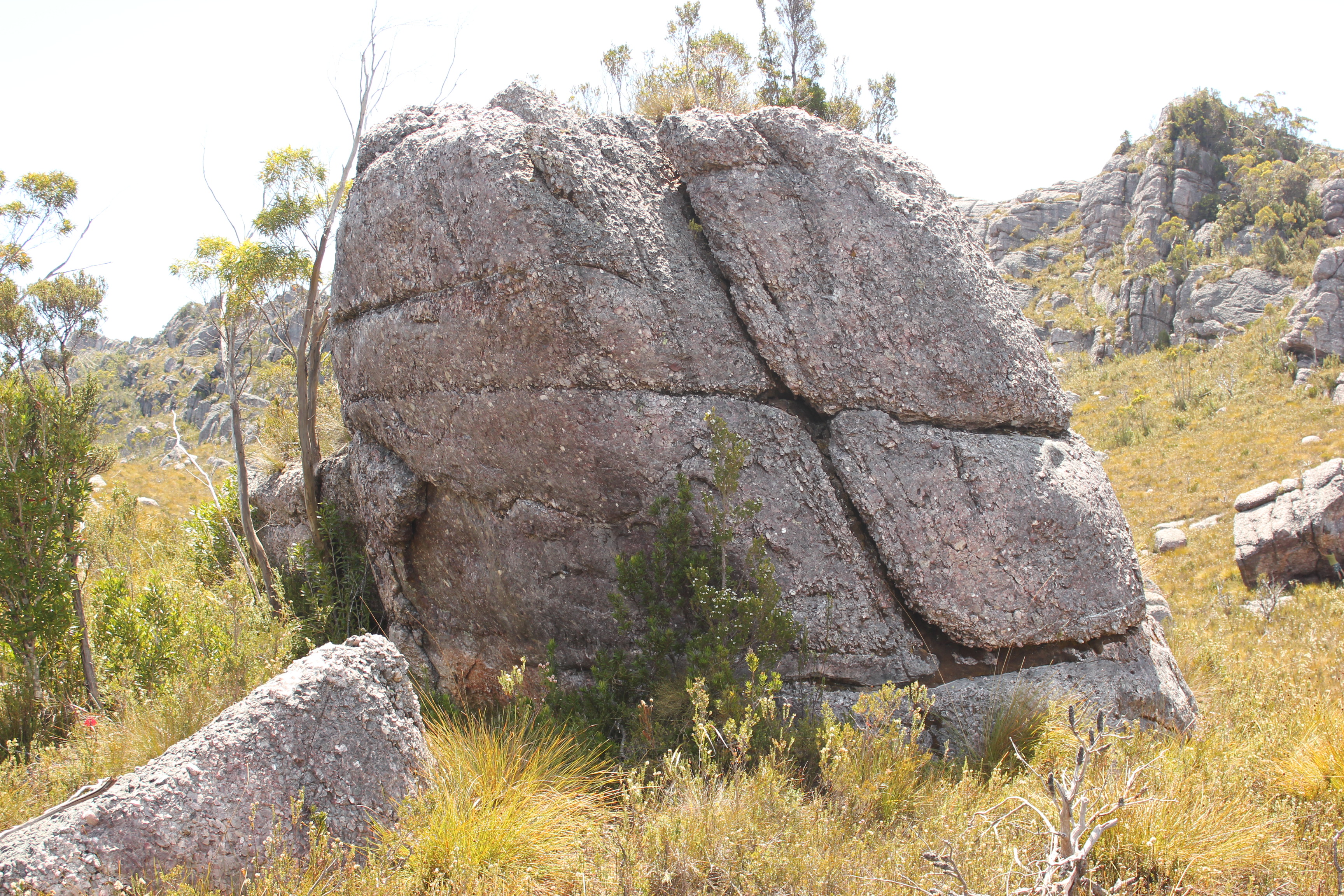 Gorilla Villa Boulder.JPG