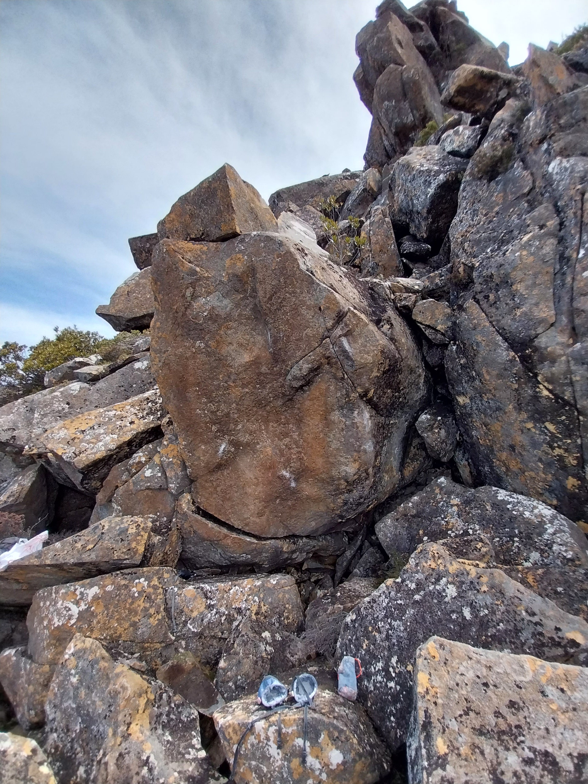 20221119_141151.jpg