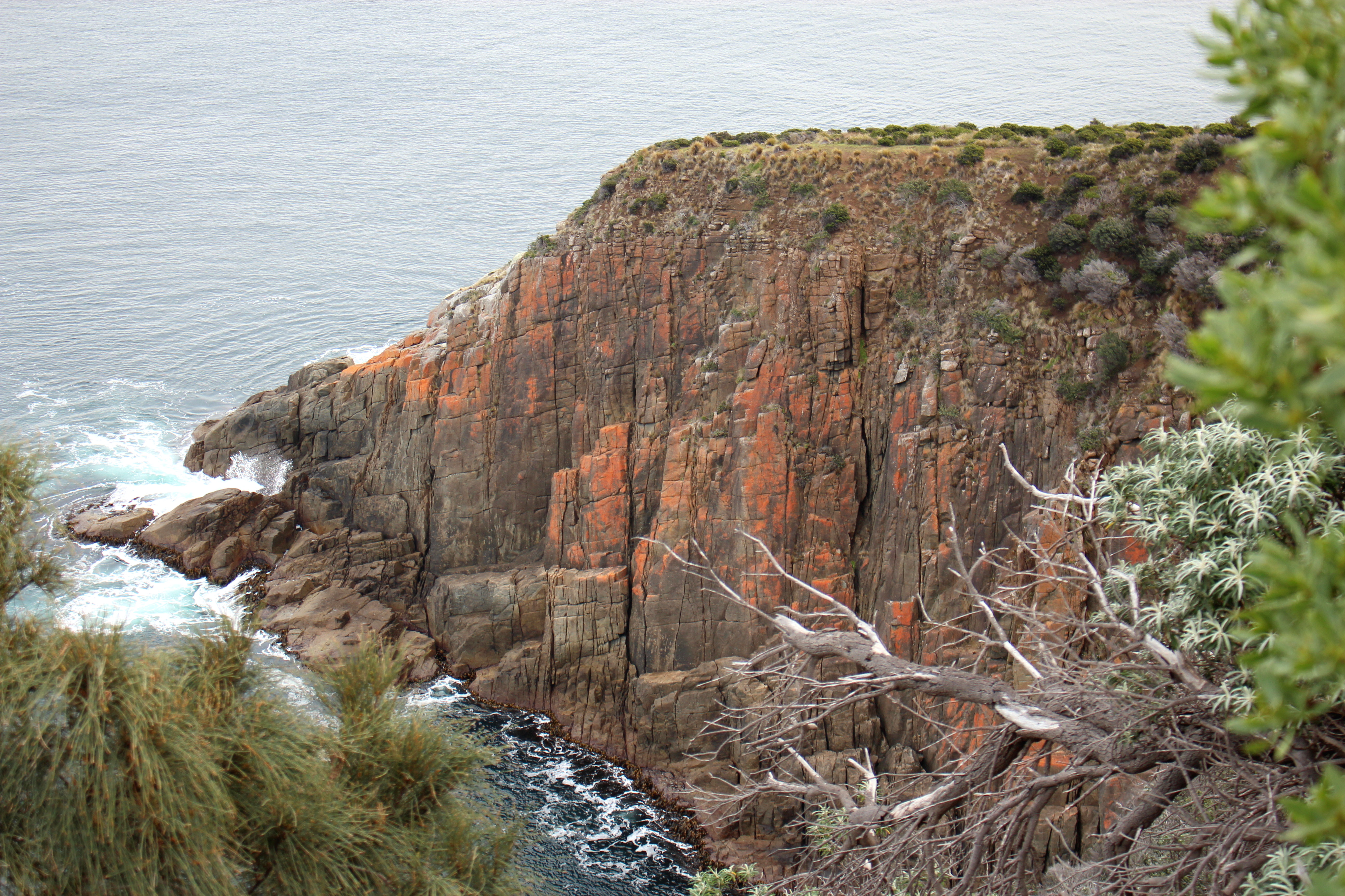 Cape Queen Elizabeth climbing  cliff
