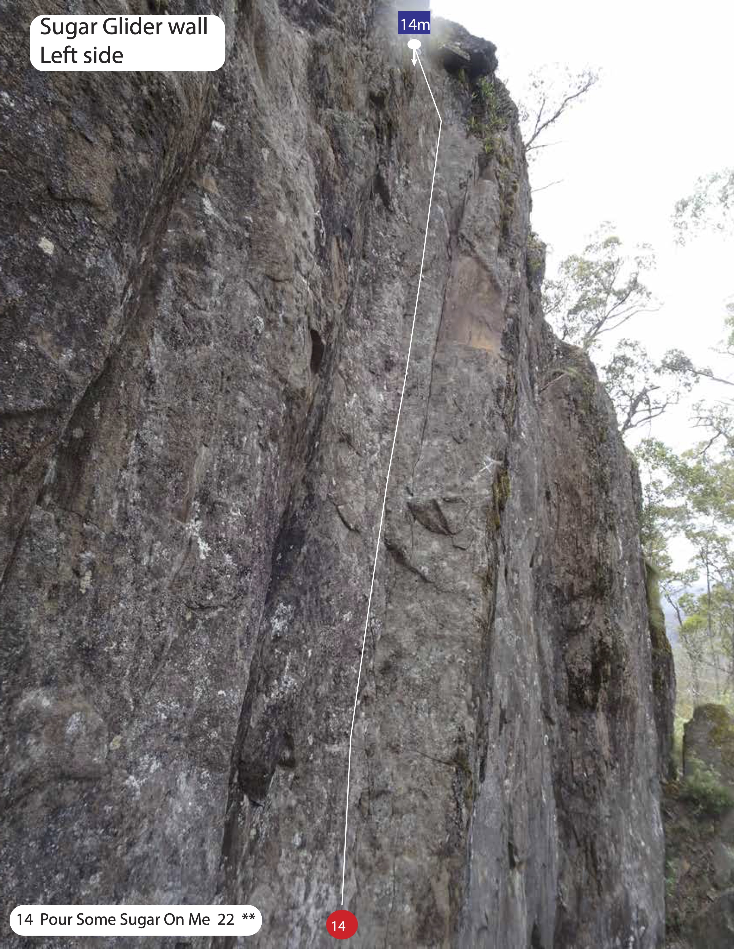 Sugar Glider Wall Left side.jpg