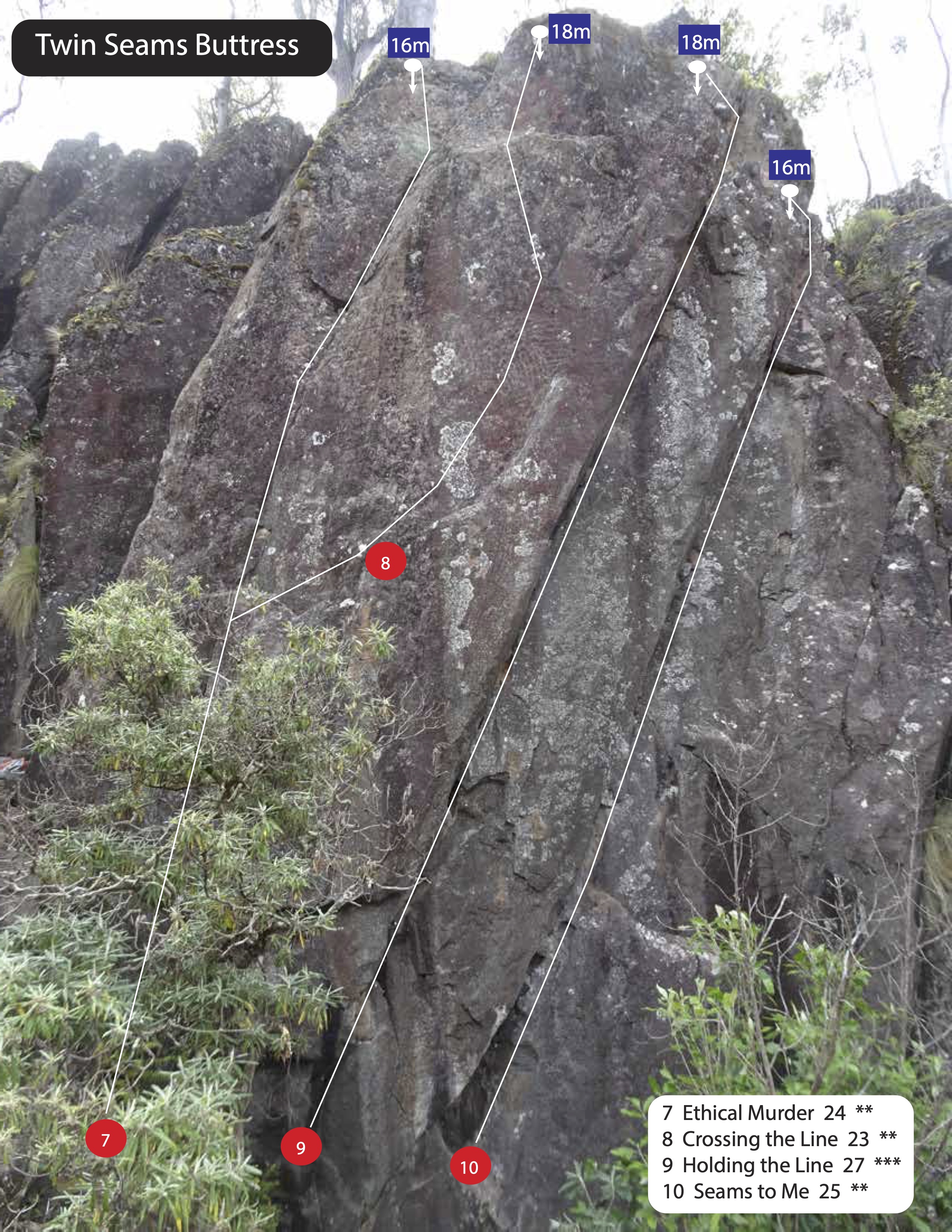 Twin Seams Buttress.jpg