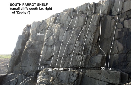 South Parrot Shelf small.jpg