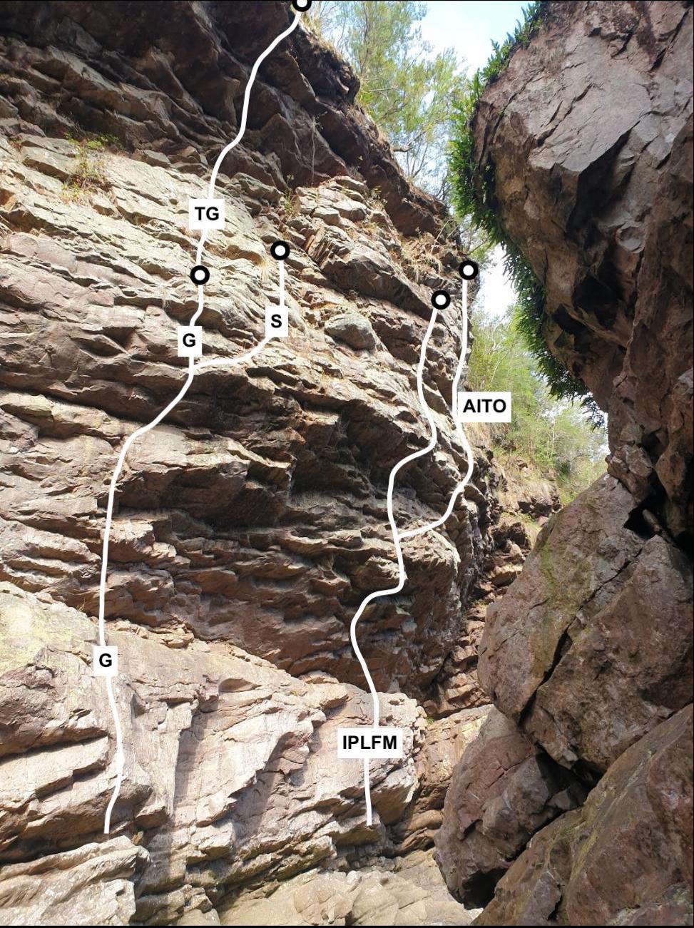 image4.jpg