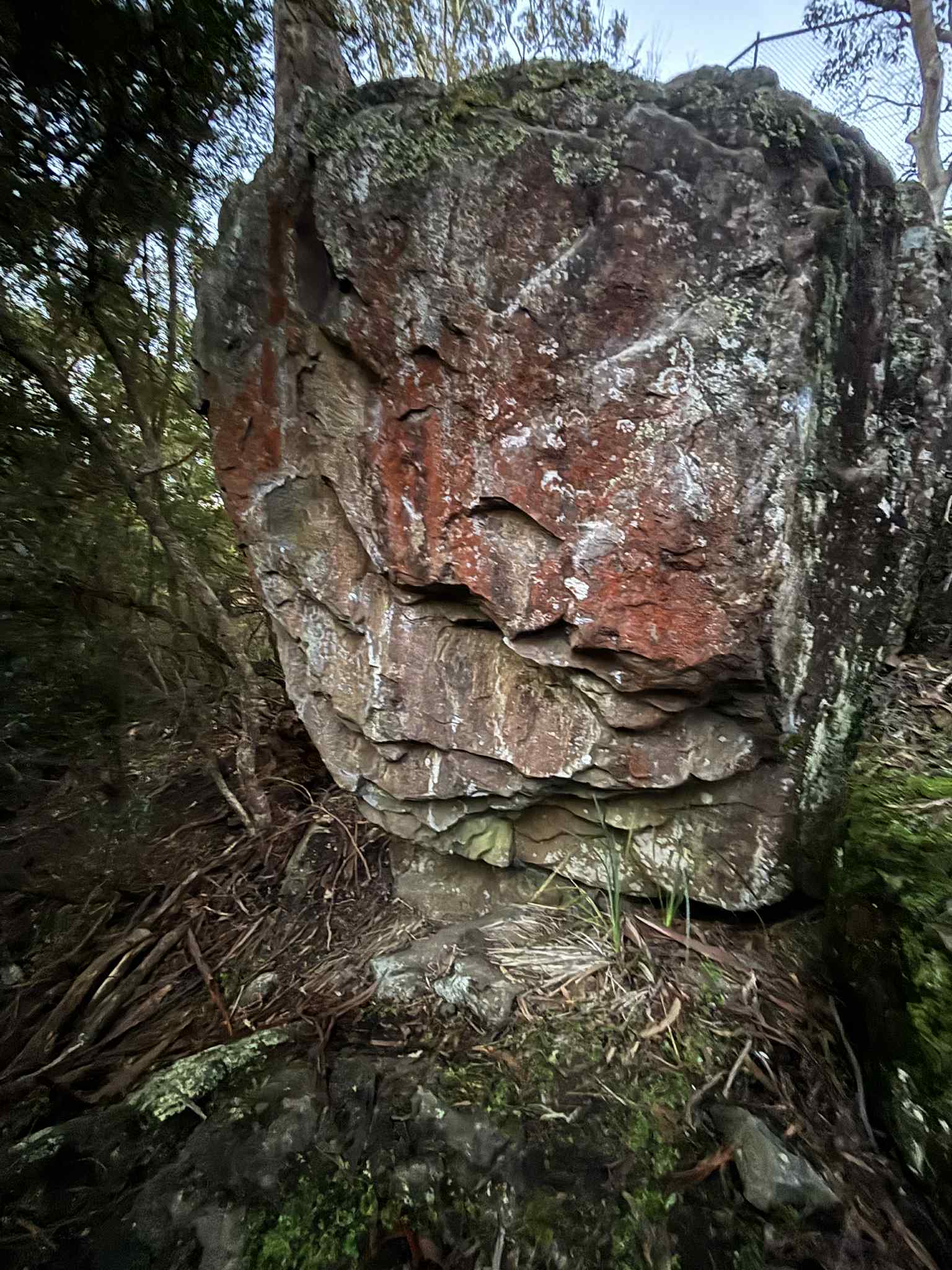 Stinkhorn boulder.jpg