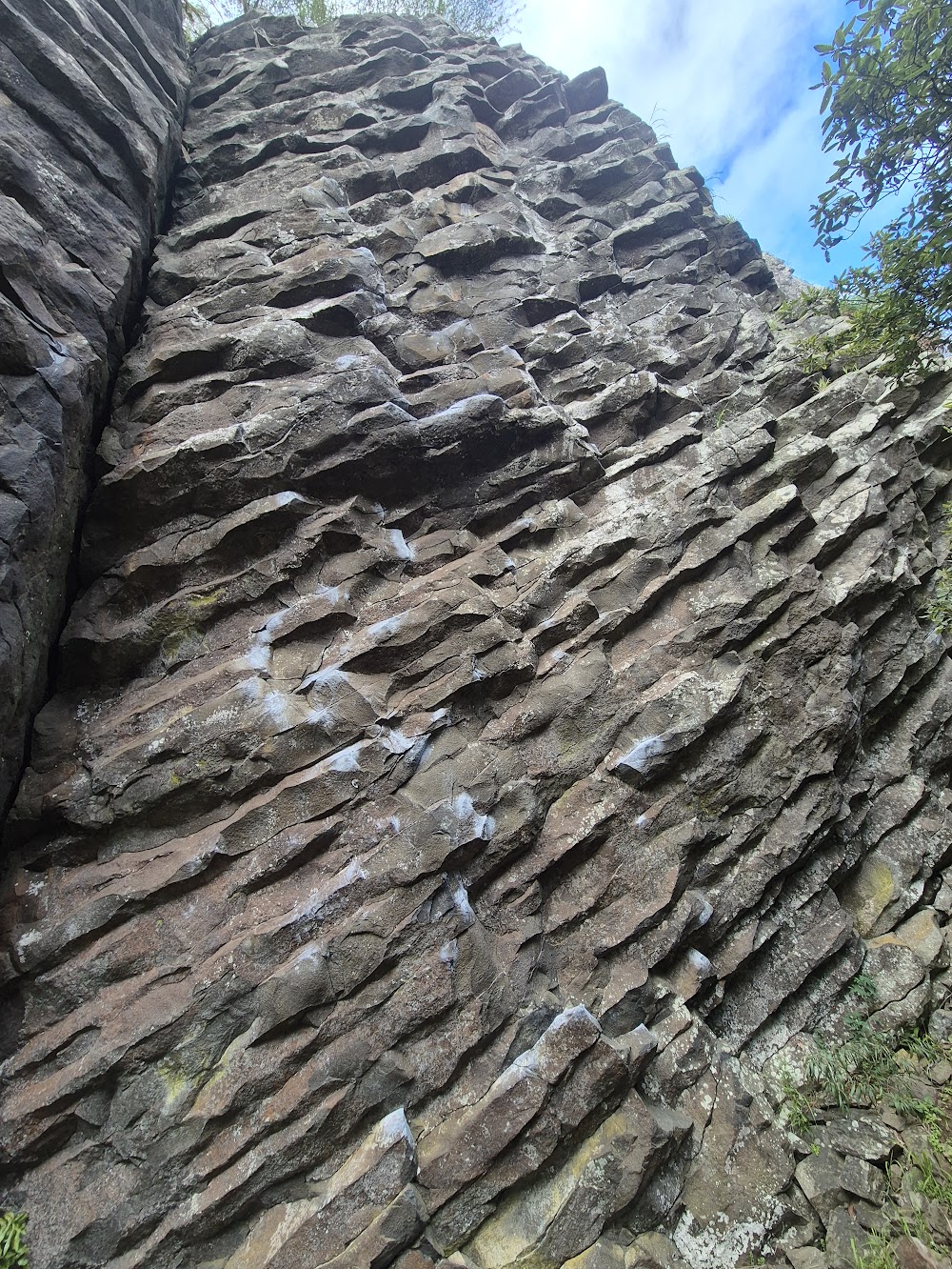 Bozon Wall