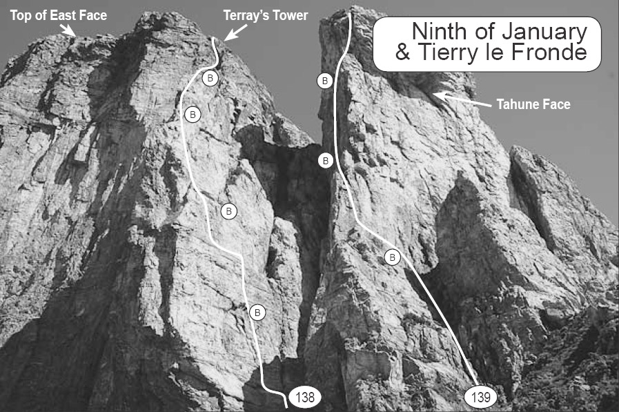 tahuneFace.jpg