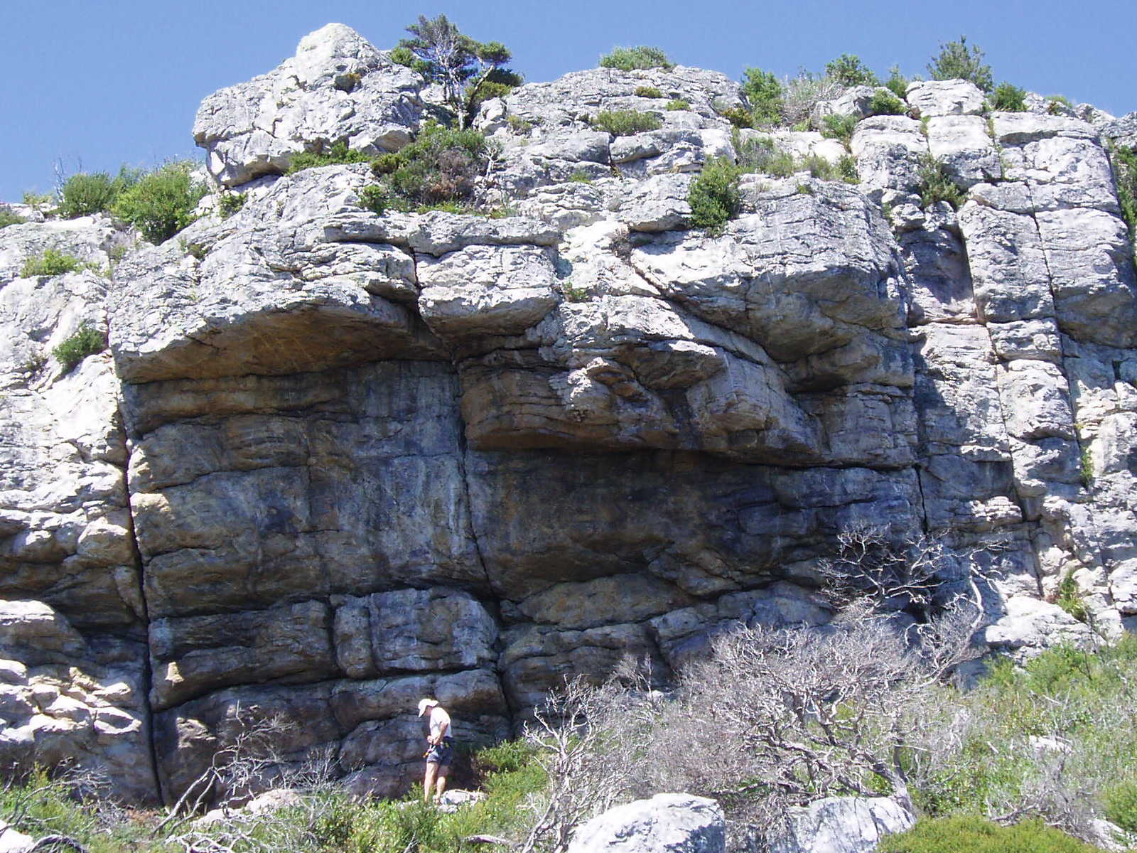Fly Buttress